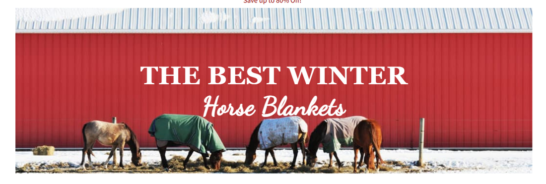 The Best Blankets for Winter