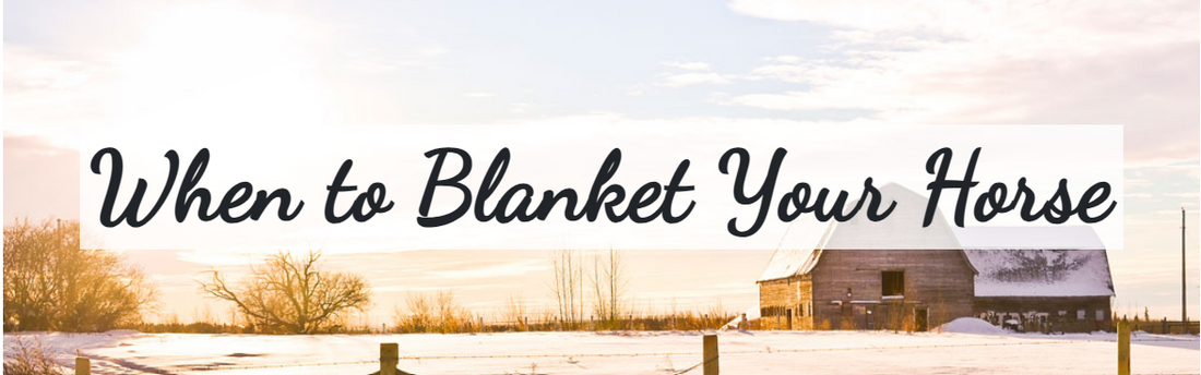 When To Blanket Your Horse