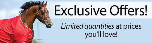 Exclusive Offers