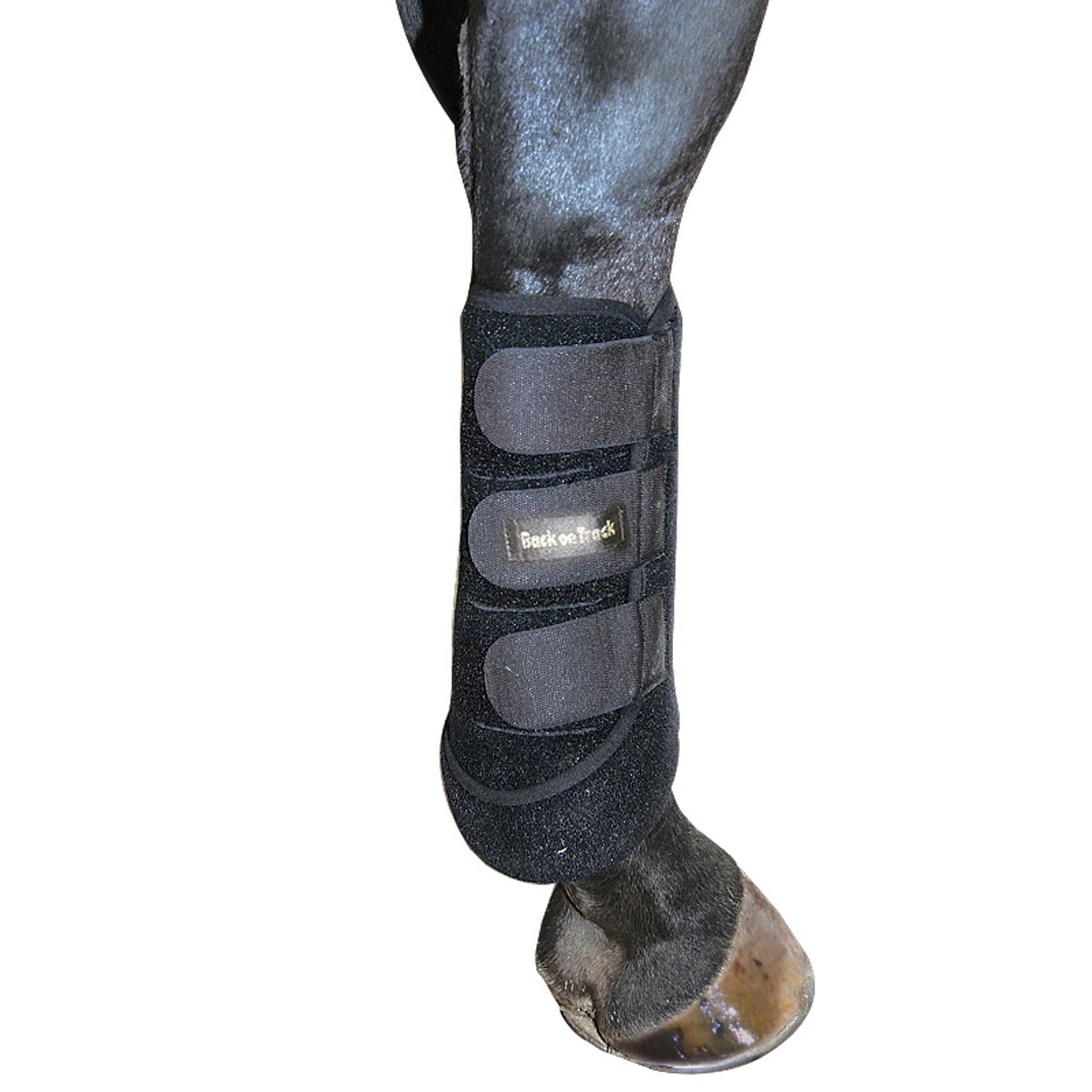 2045_exercisebootsforhindleg_2_web.jpg
