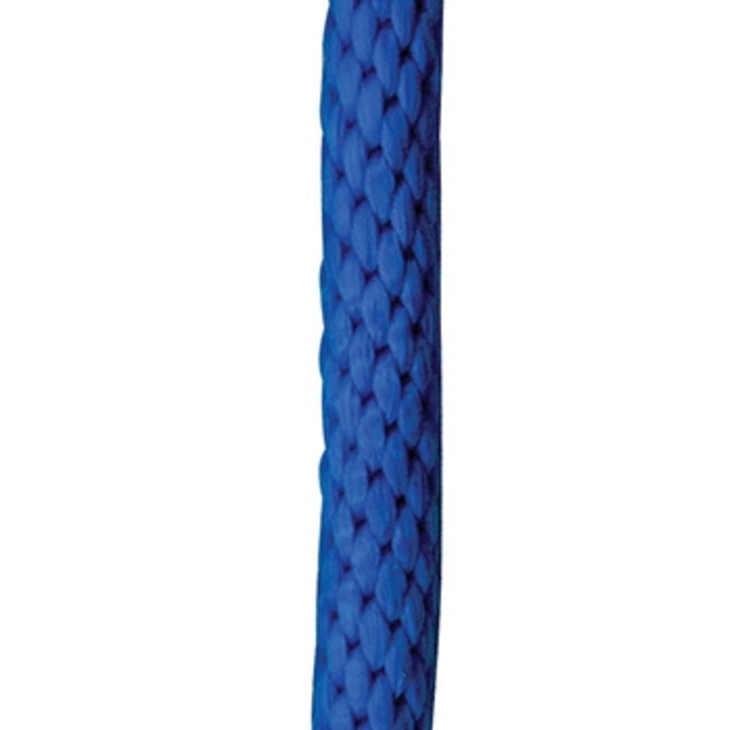 248249.jpg