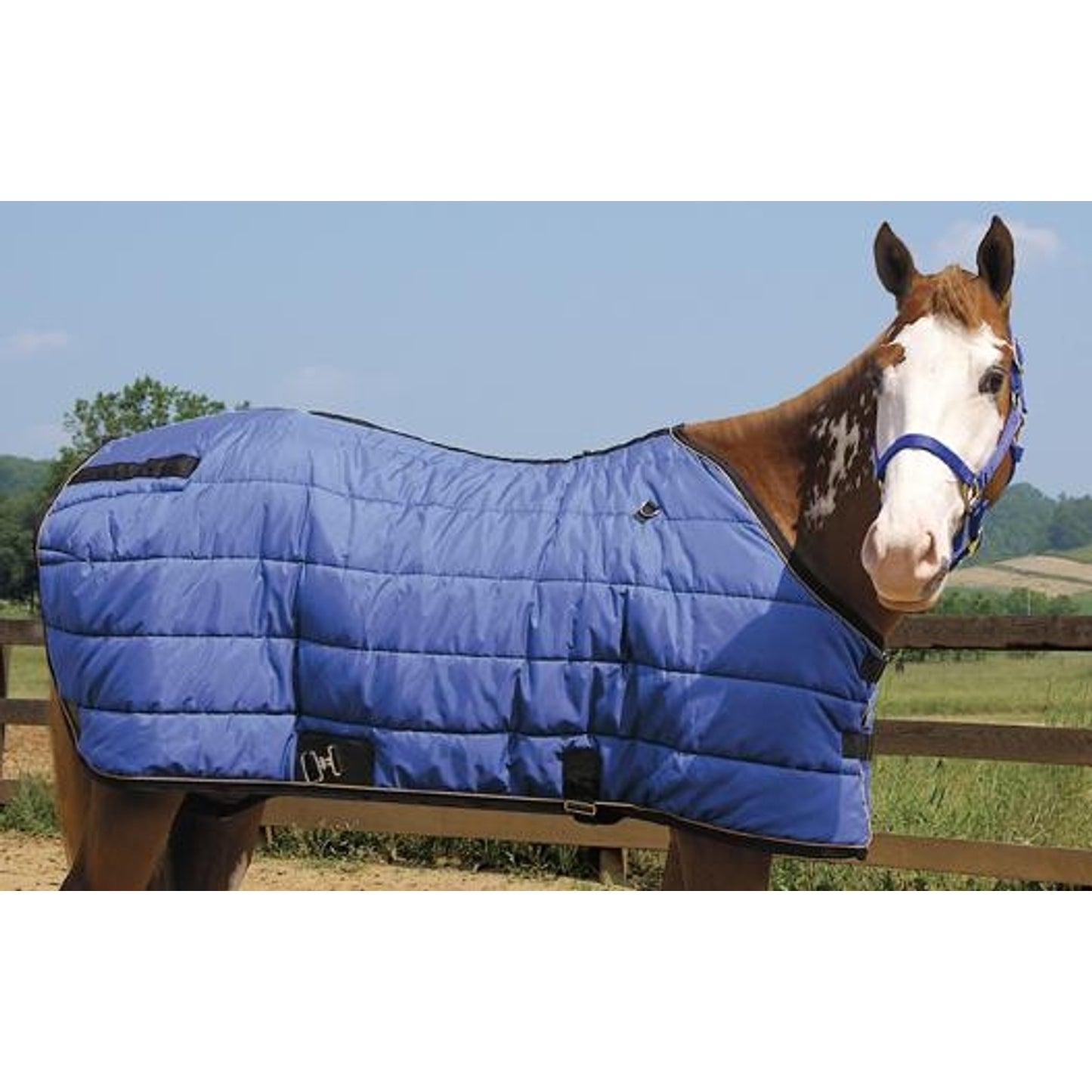 351511_royal_blue.jpg