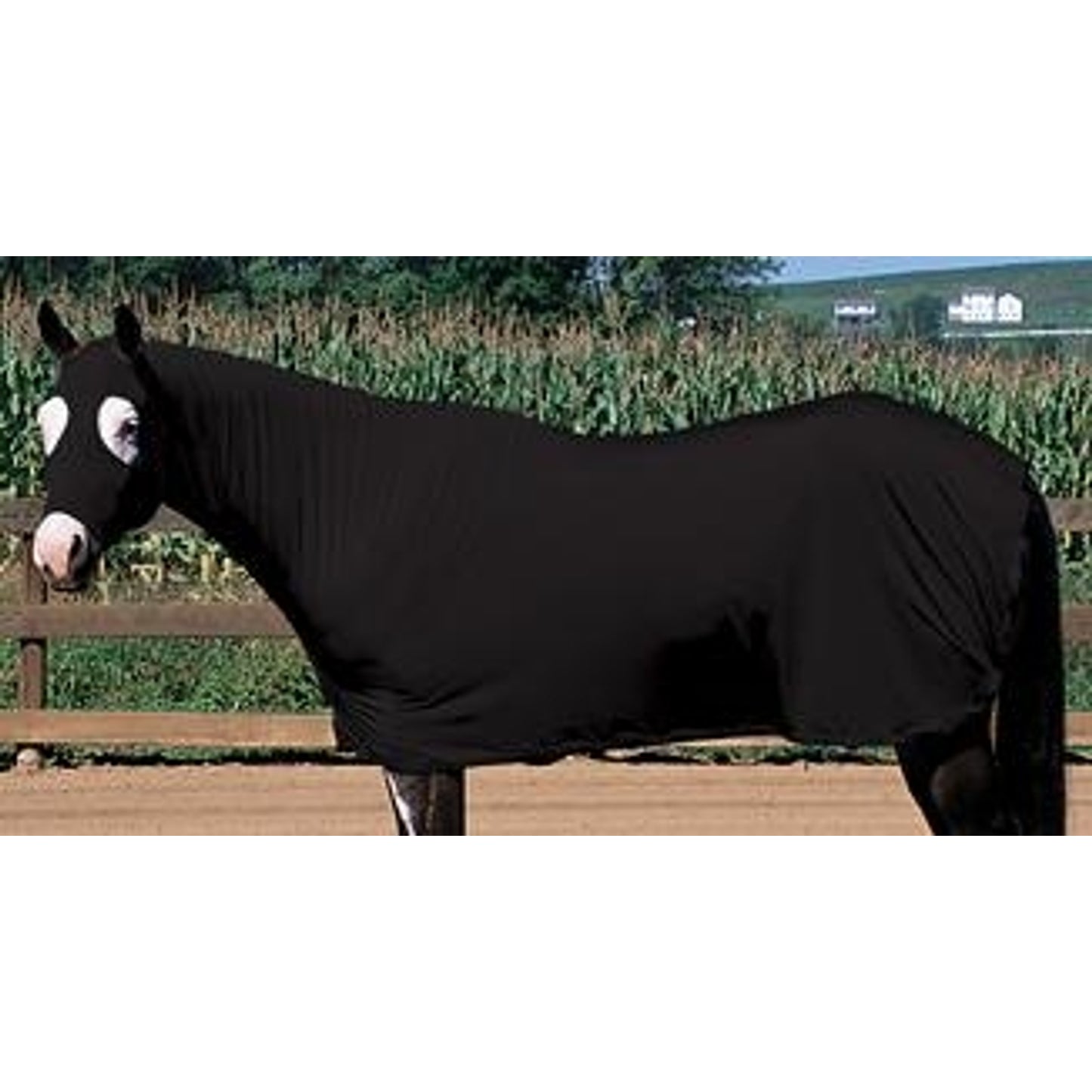 351531_black.jpg
