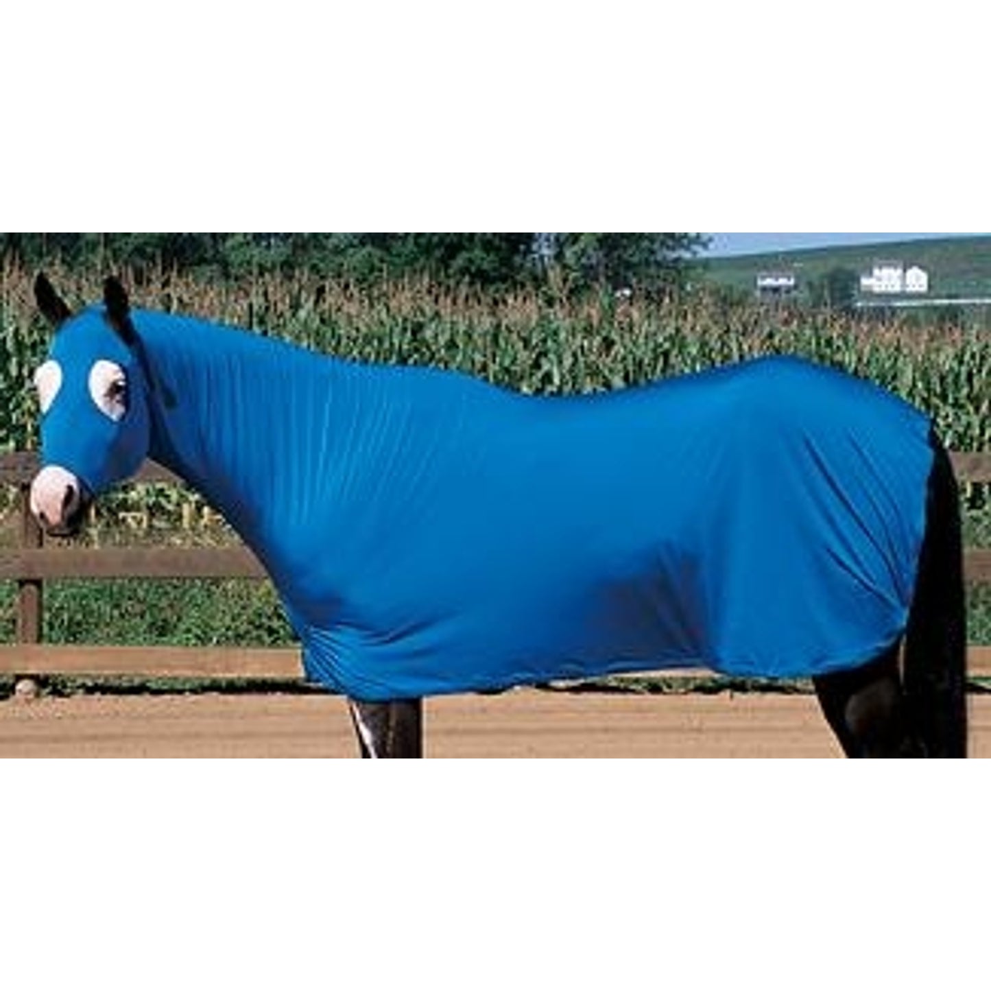 351531_blue.jpg
