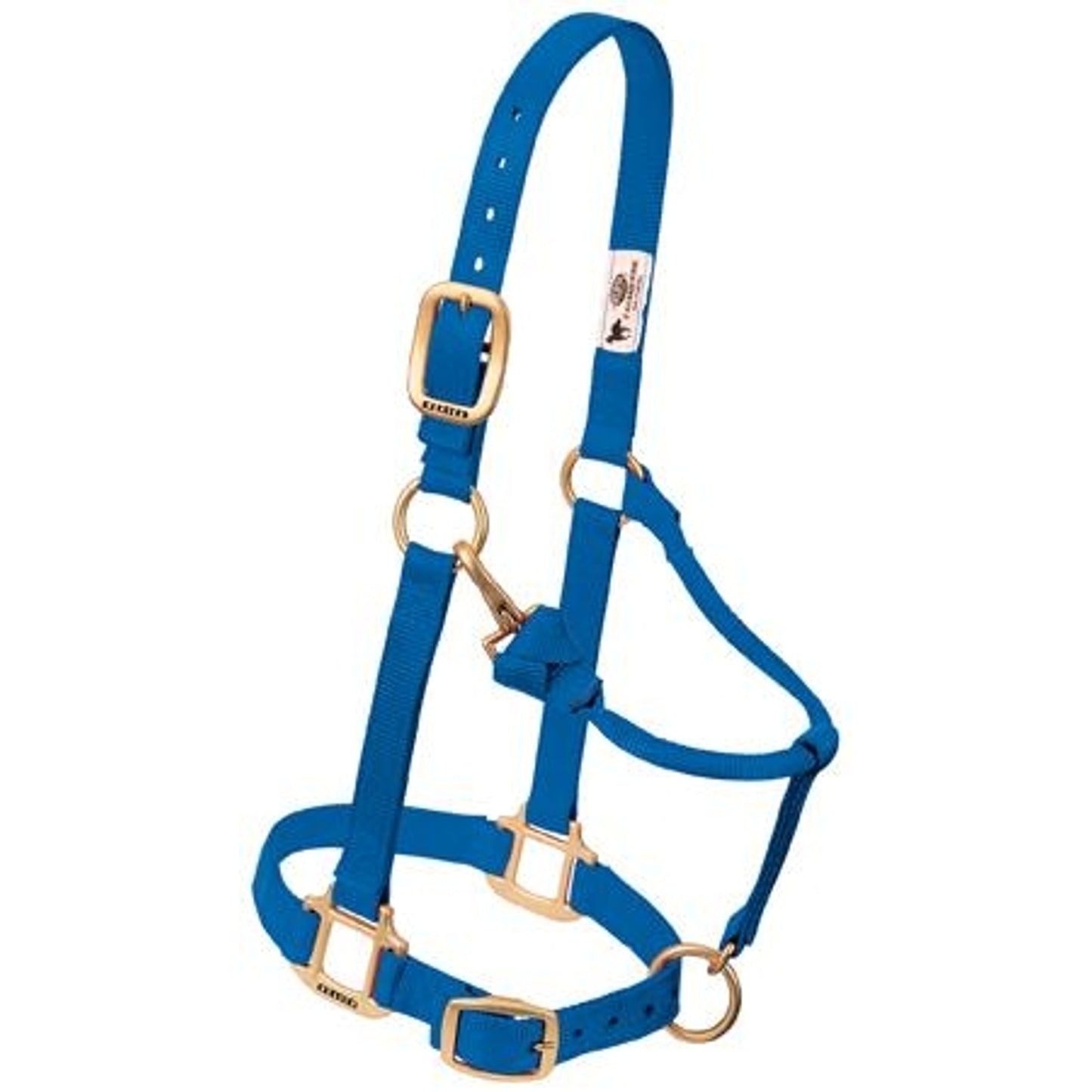 357035_blue.jpg