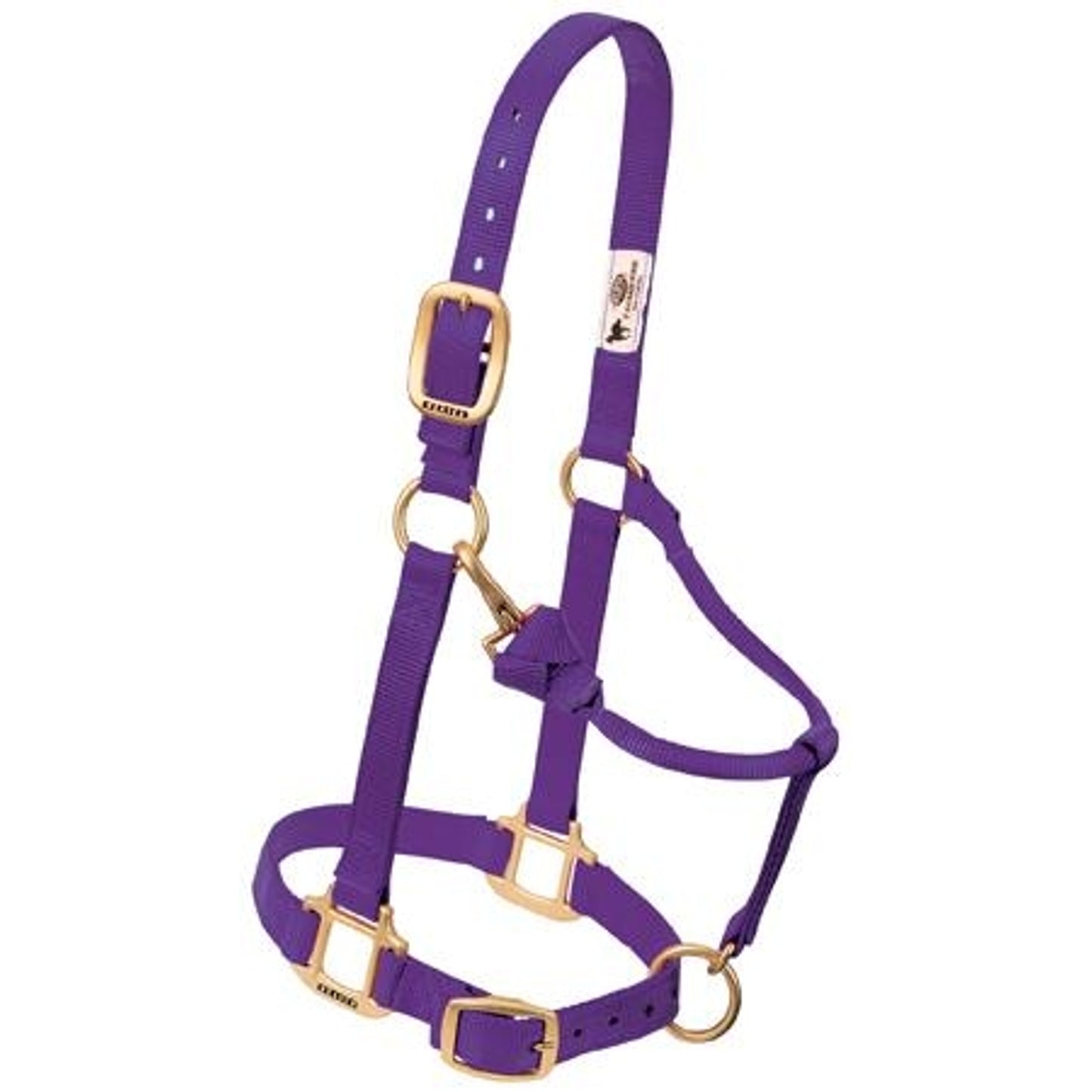 357035_purple.jpg