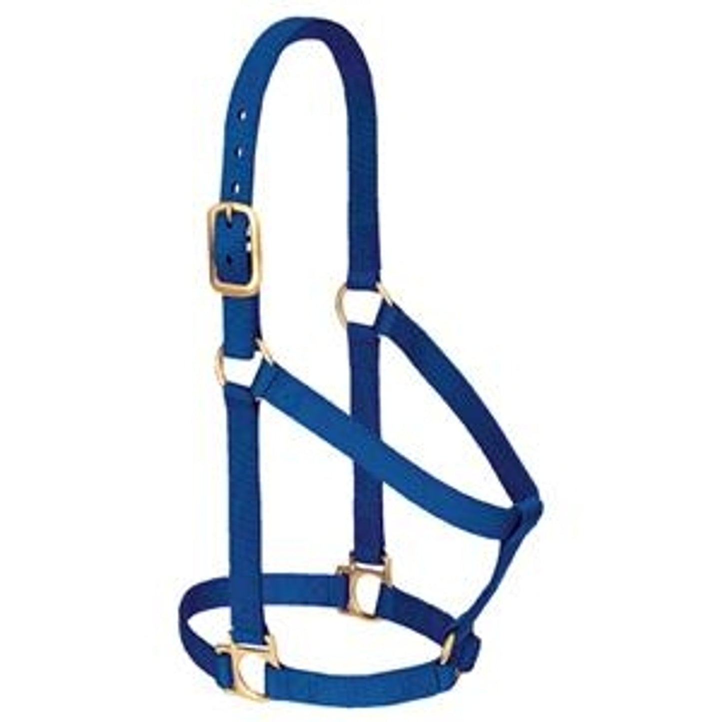 357405_blue.jpg