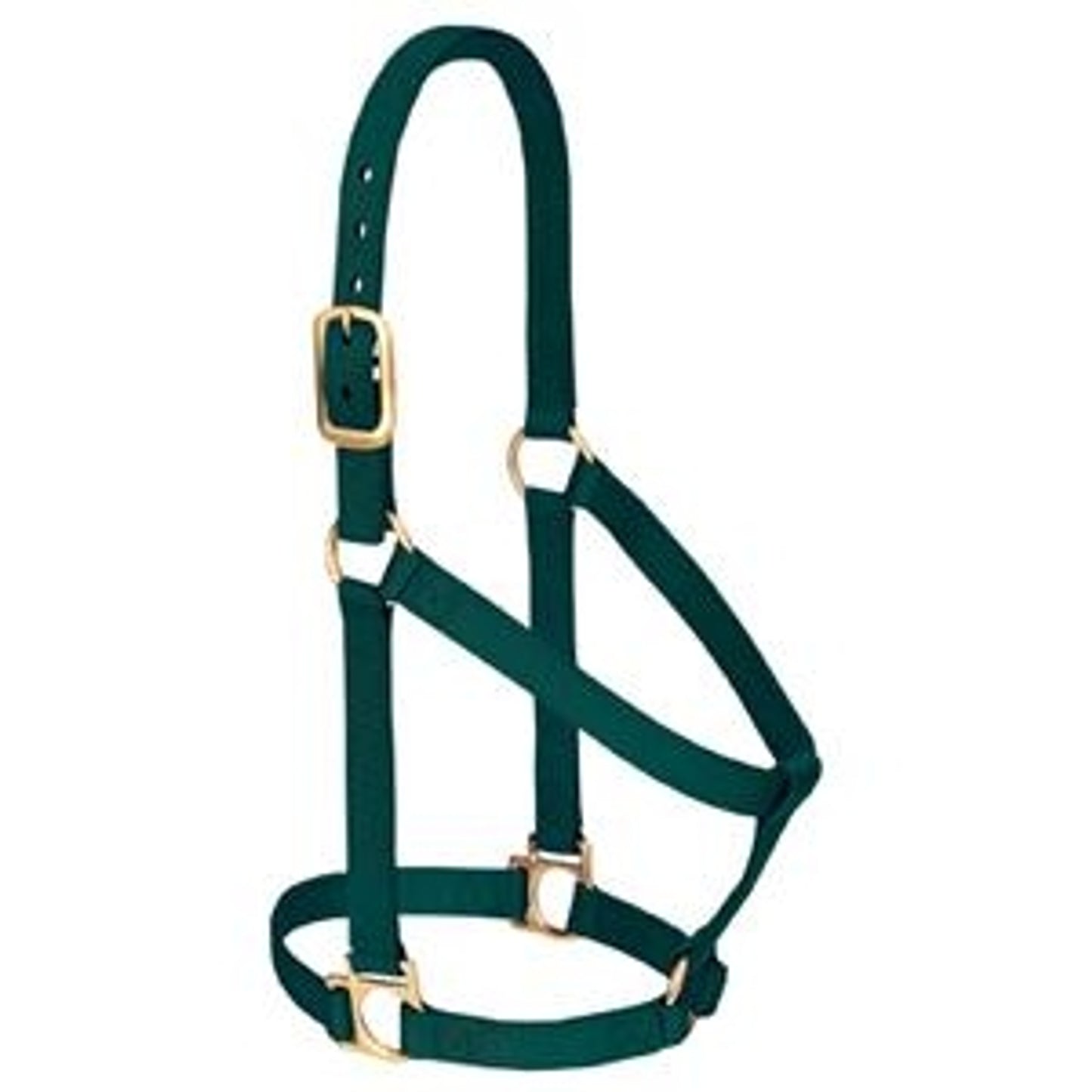 357405_hunter_green.jpg