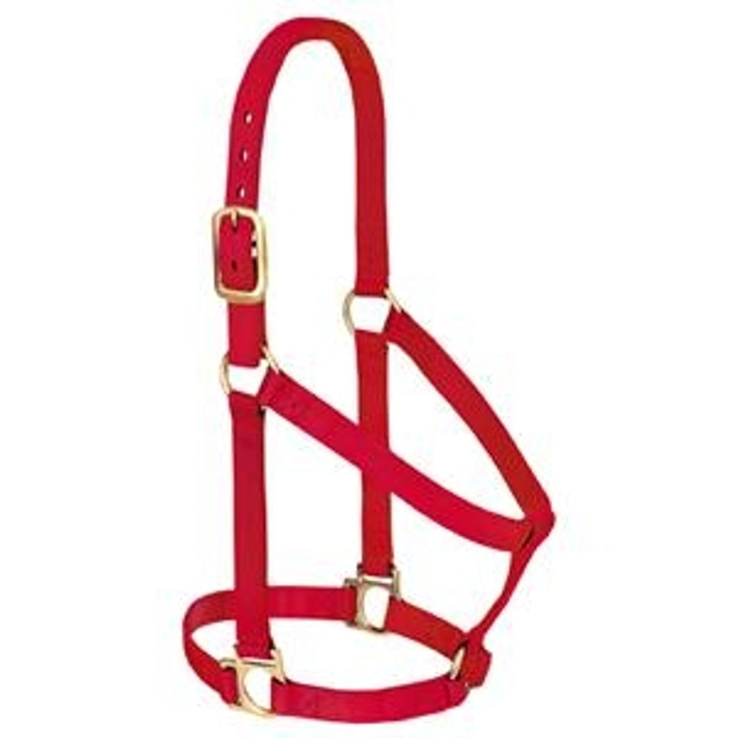 357405_red.jpg