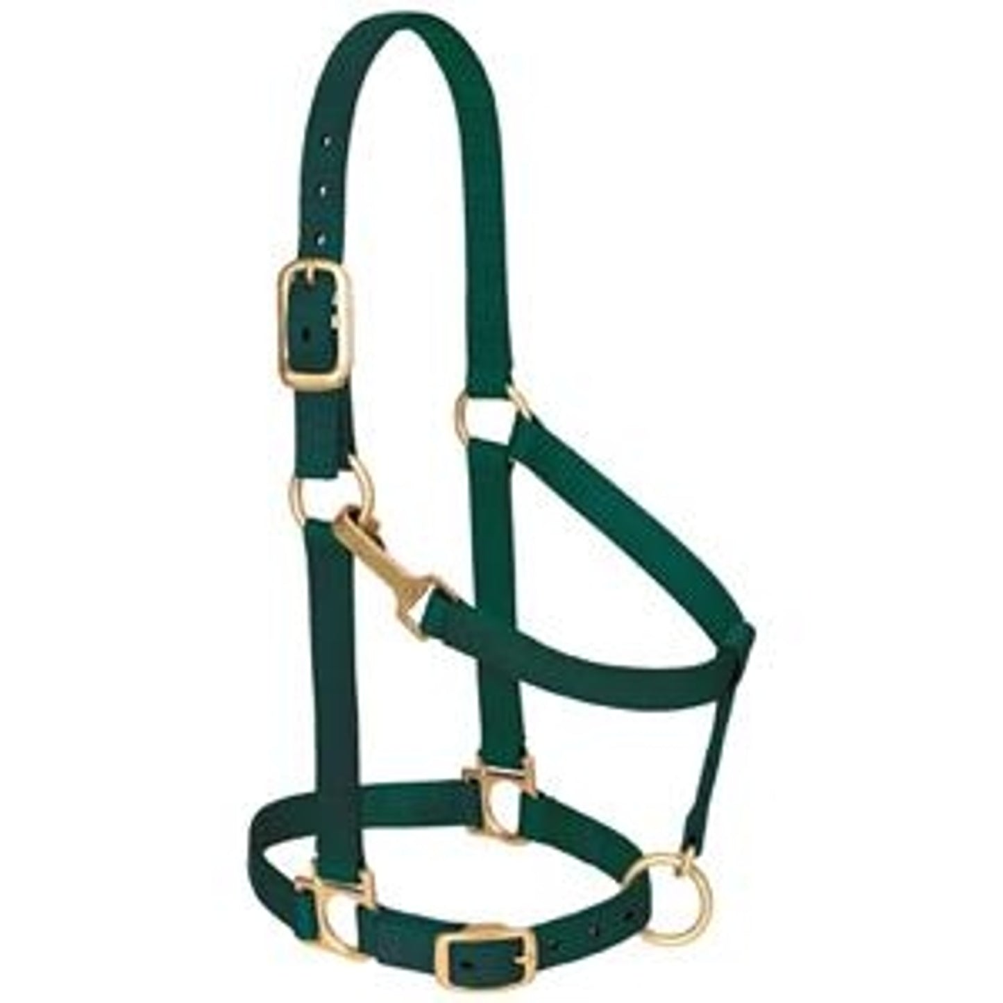 357435_hunter_green.jpg