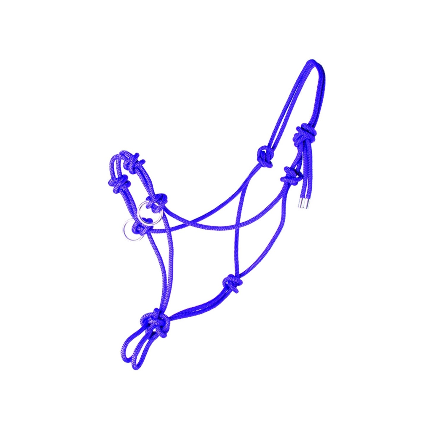4-103498-pp.jpg