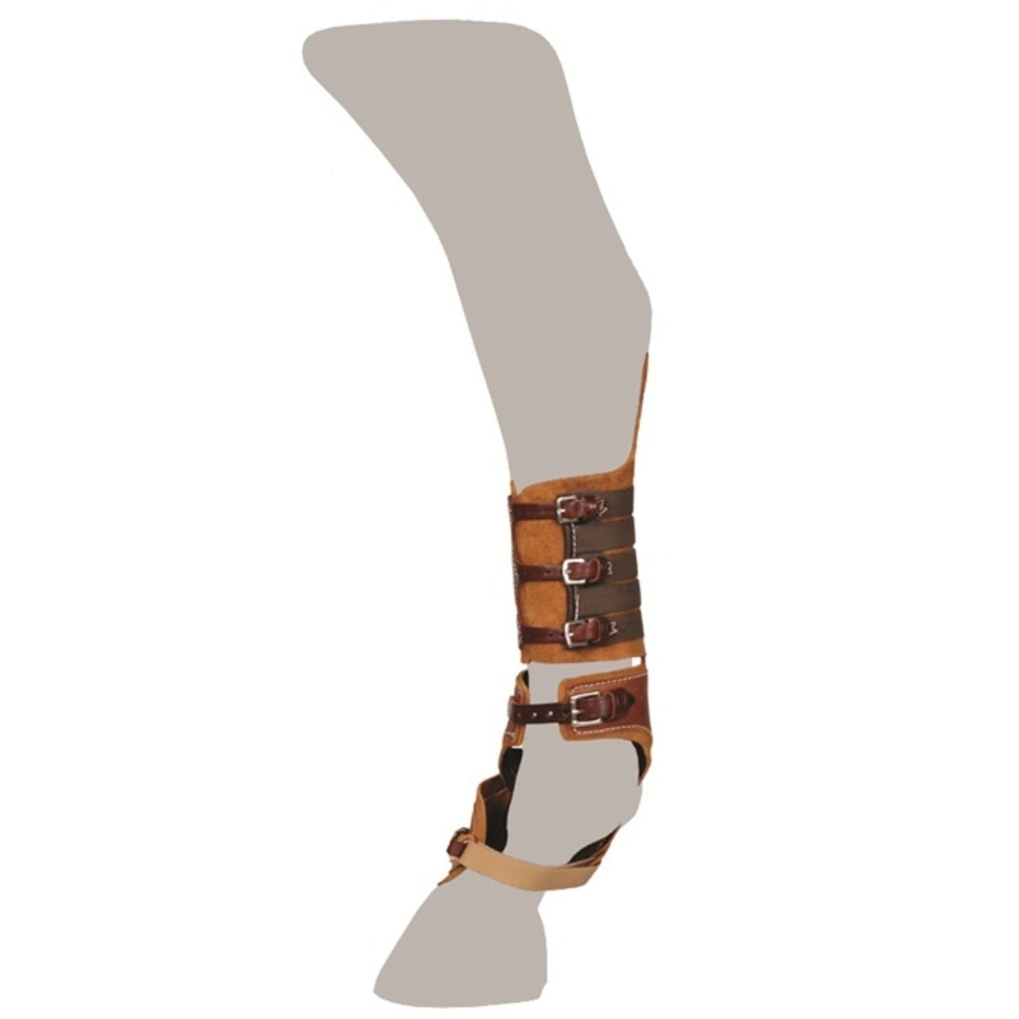 4-211346-c.jpg