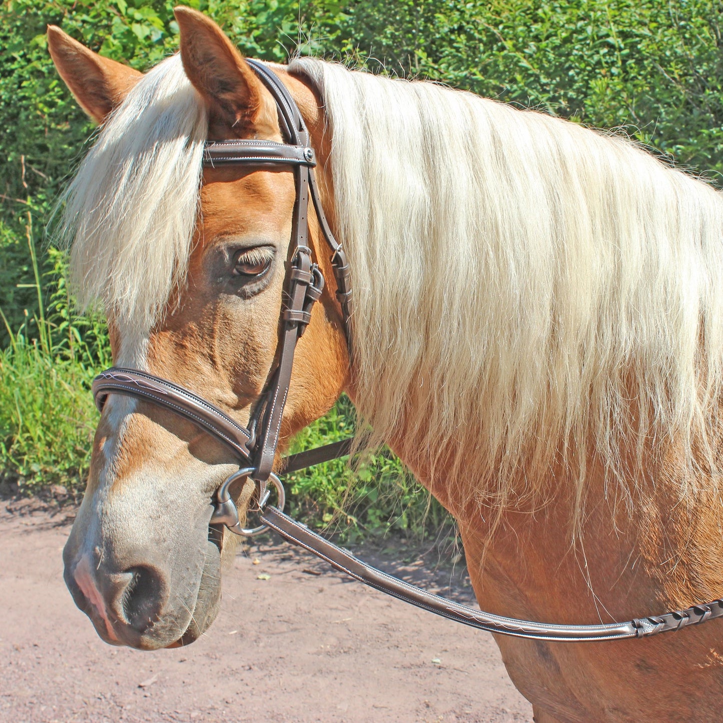 4-217054.jpg