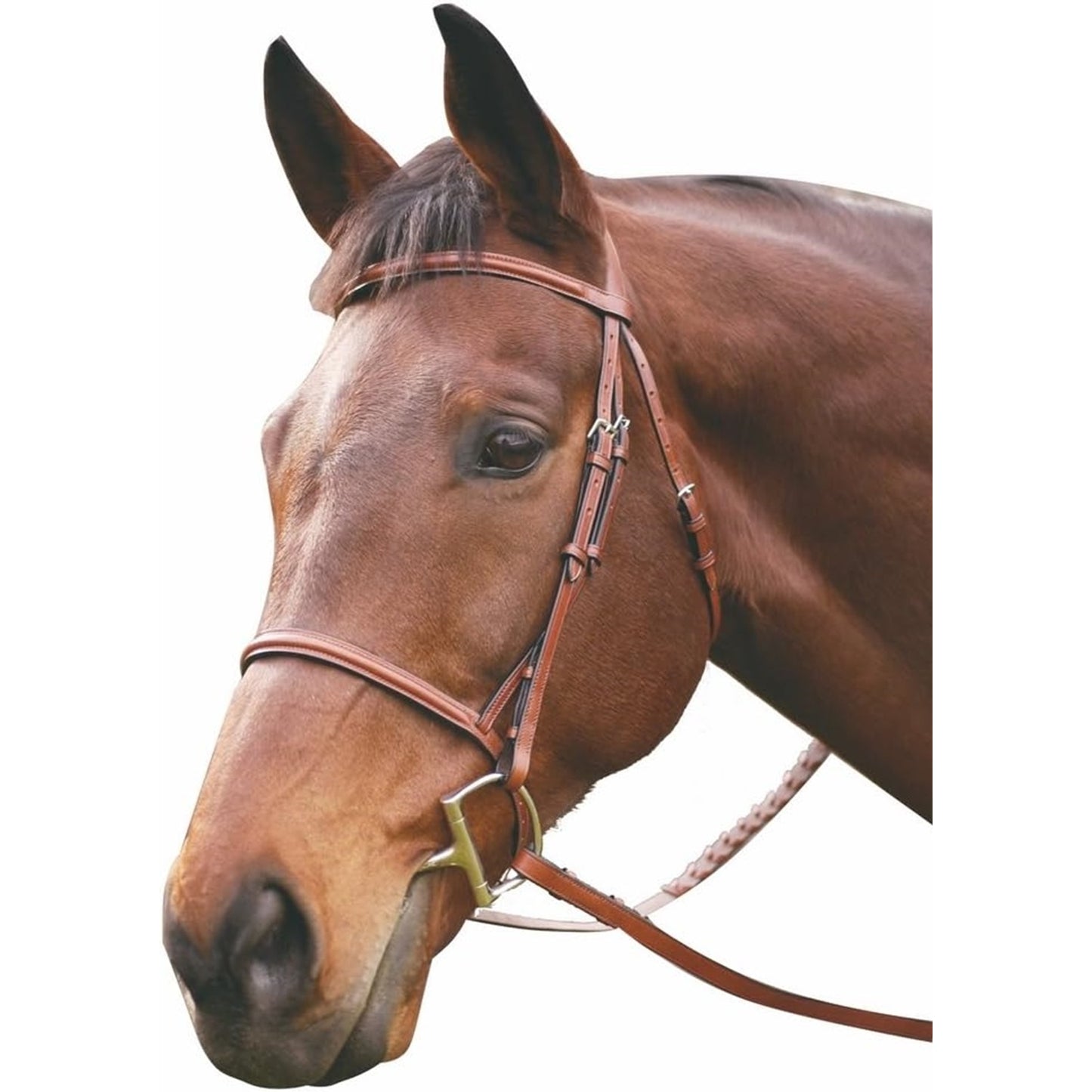 4-217071-ausnut.jpg