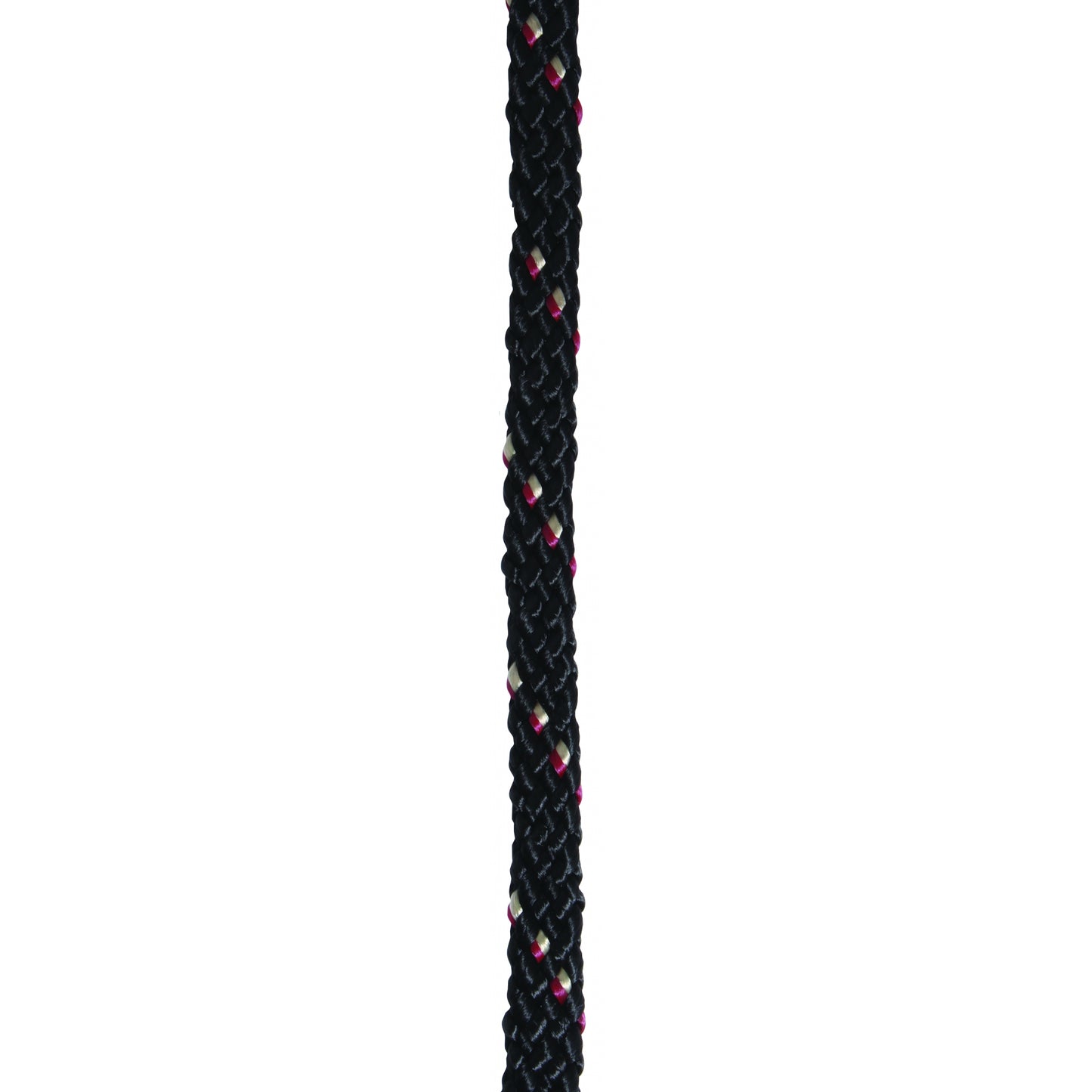 4-248098.jpg