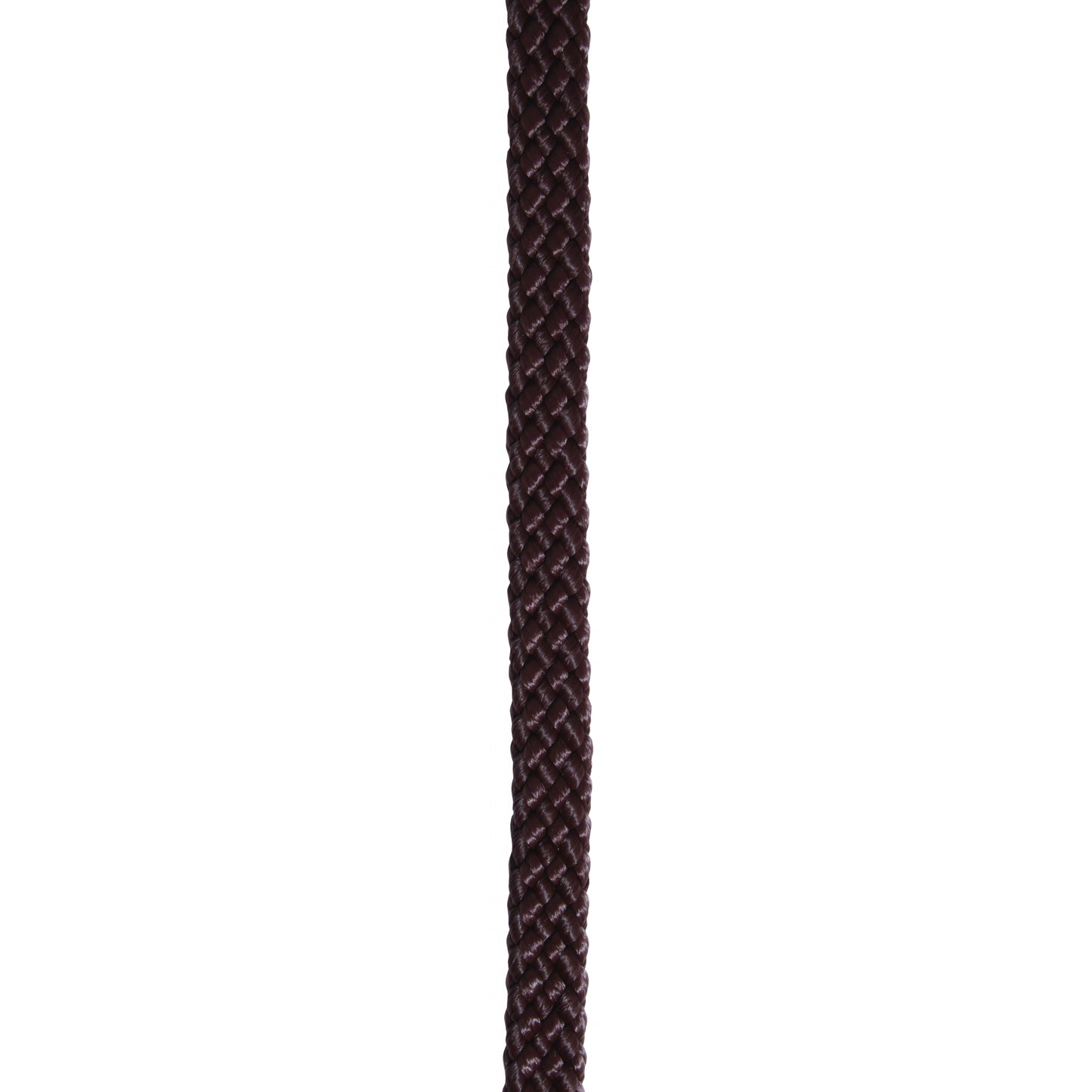 4-248099.jpg