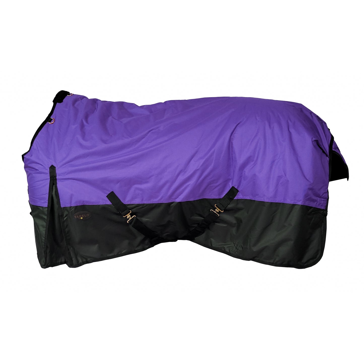 4-304616-purple.jpg