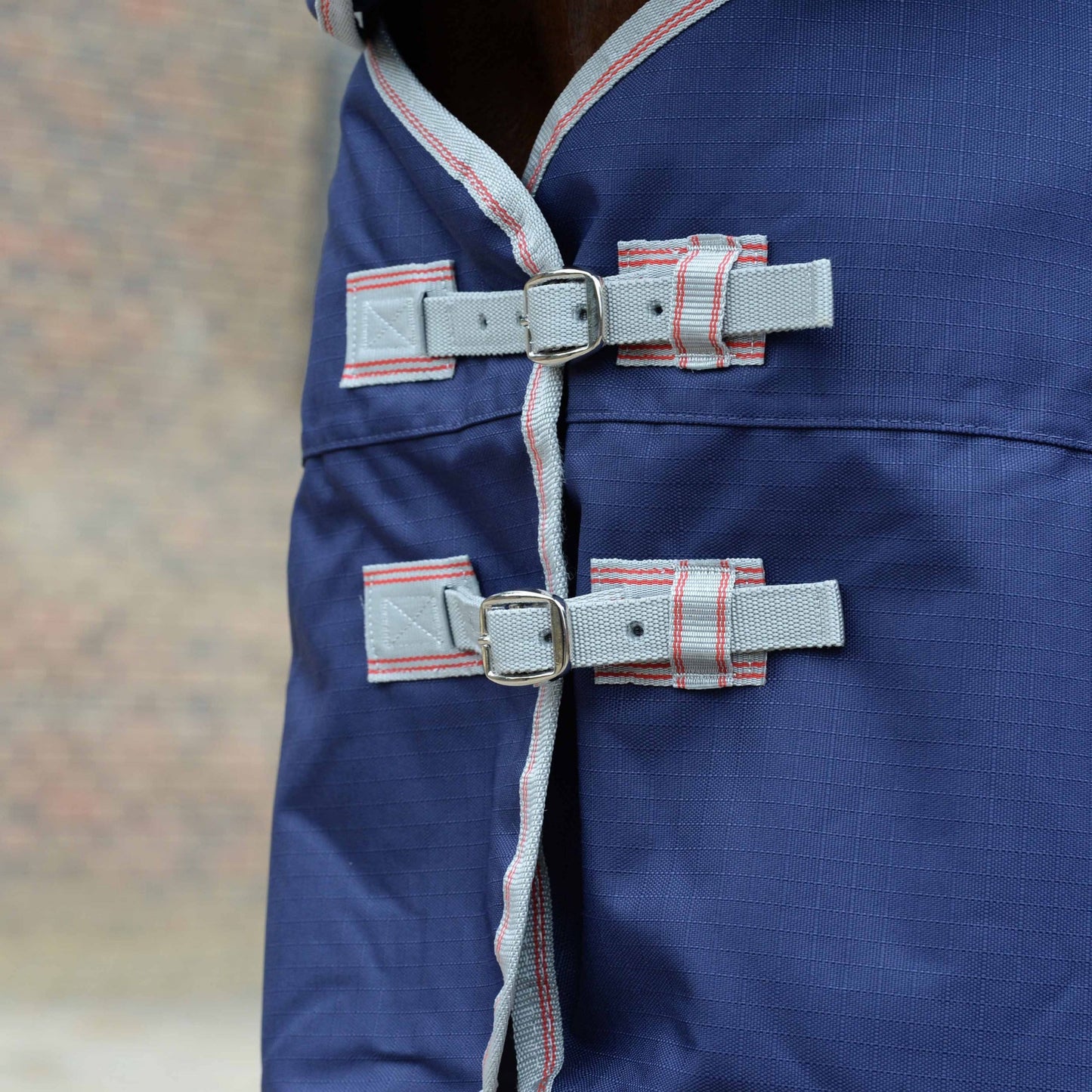 4-349147-d.jpg