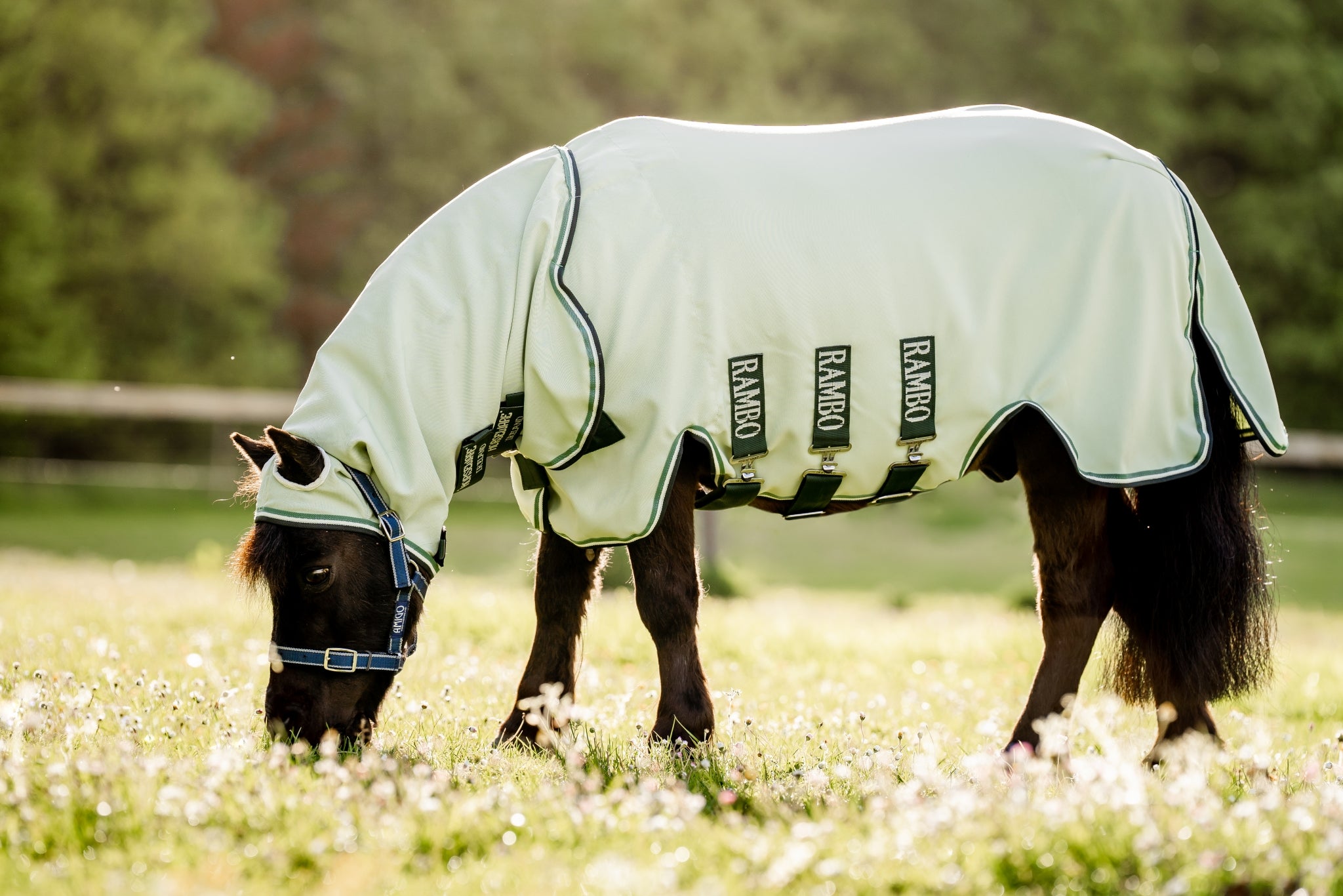 Sweatshirt à capuche femme Horse Pilot Team HORSE PILOT