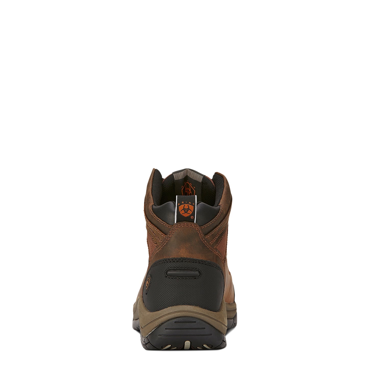 4-372269-b.jpg