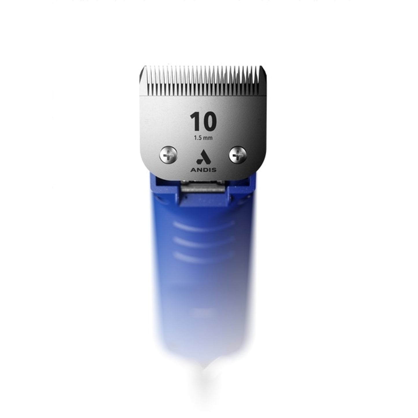 4-400260-b.jpg