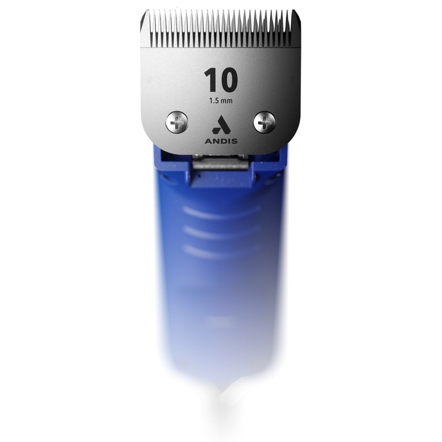 4-400262-b.jpg