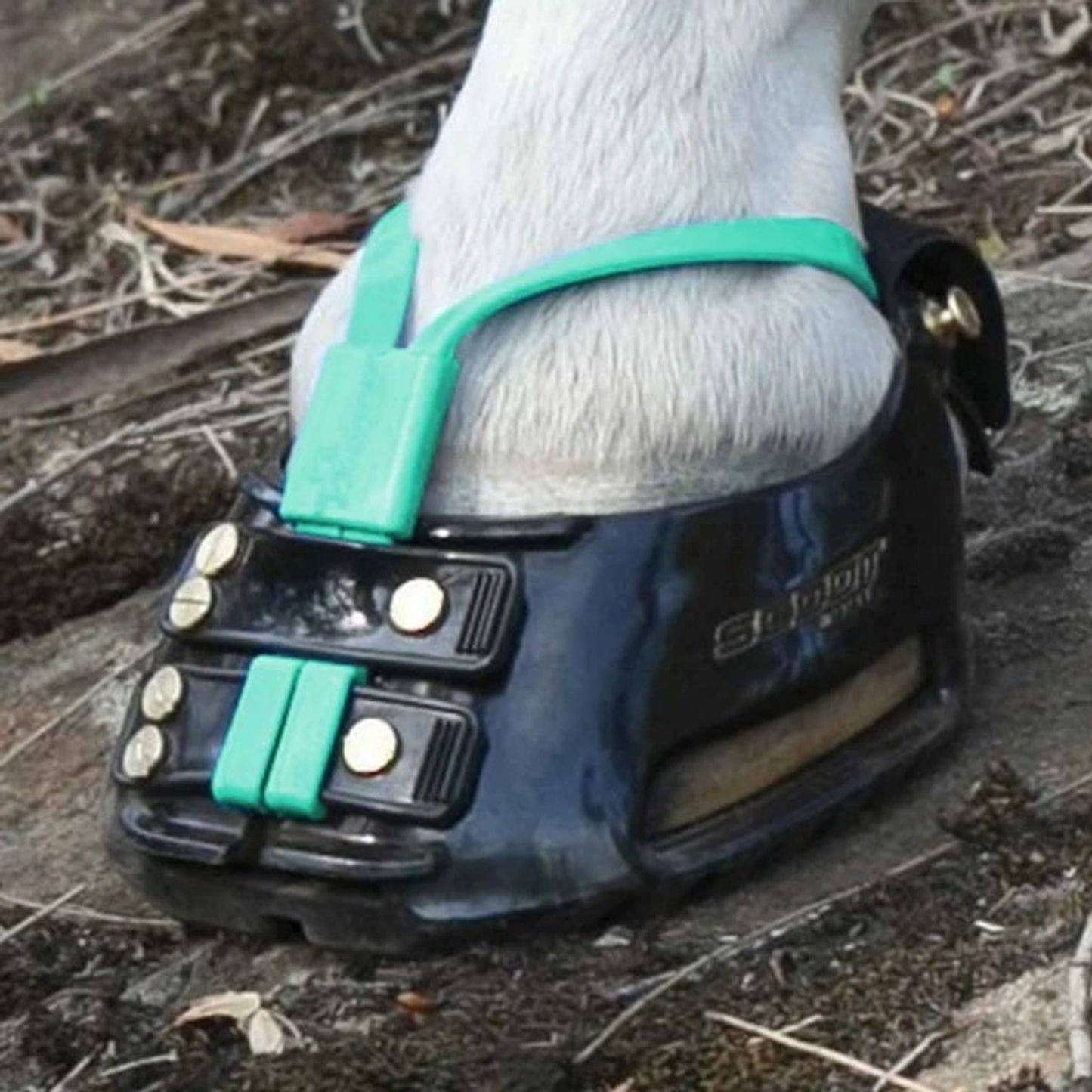 4-440271.jpg