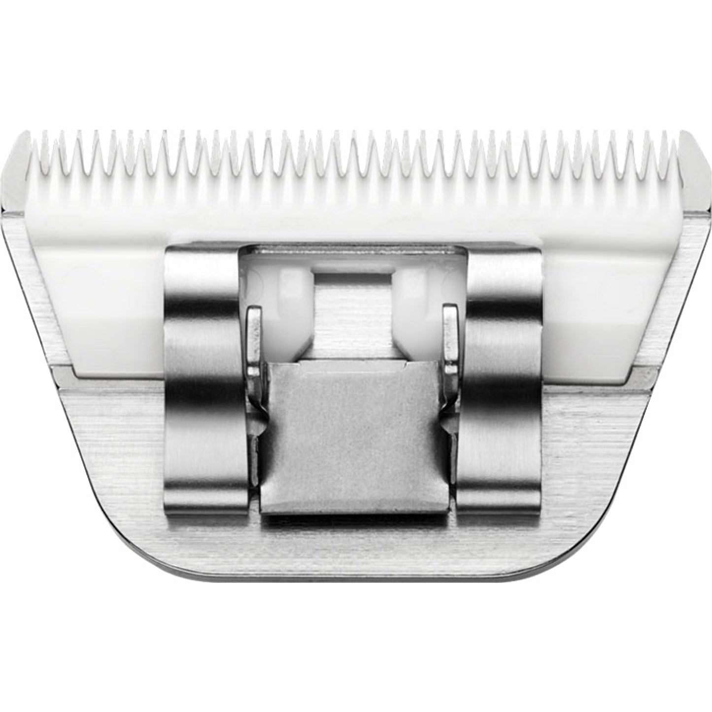 4-446494-c.jpg