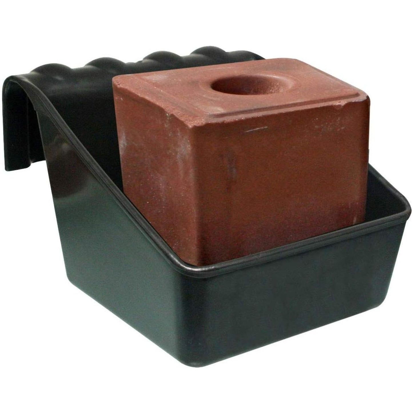 4-499659.jpg