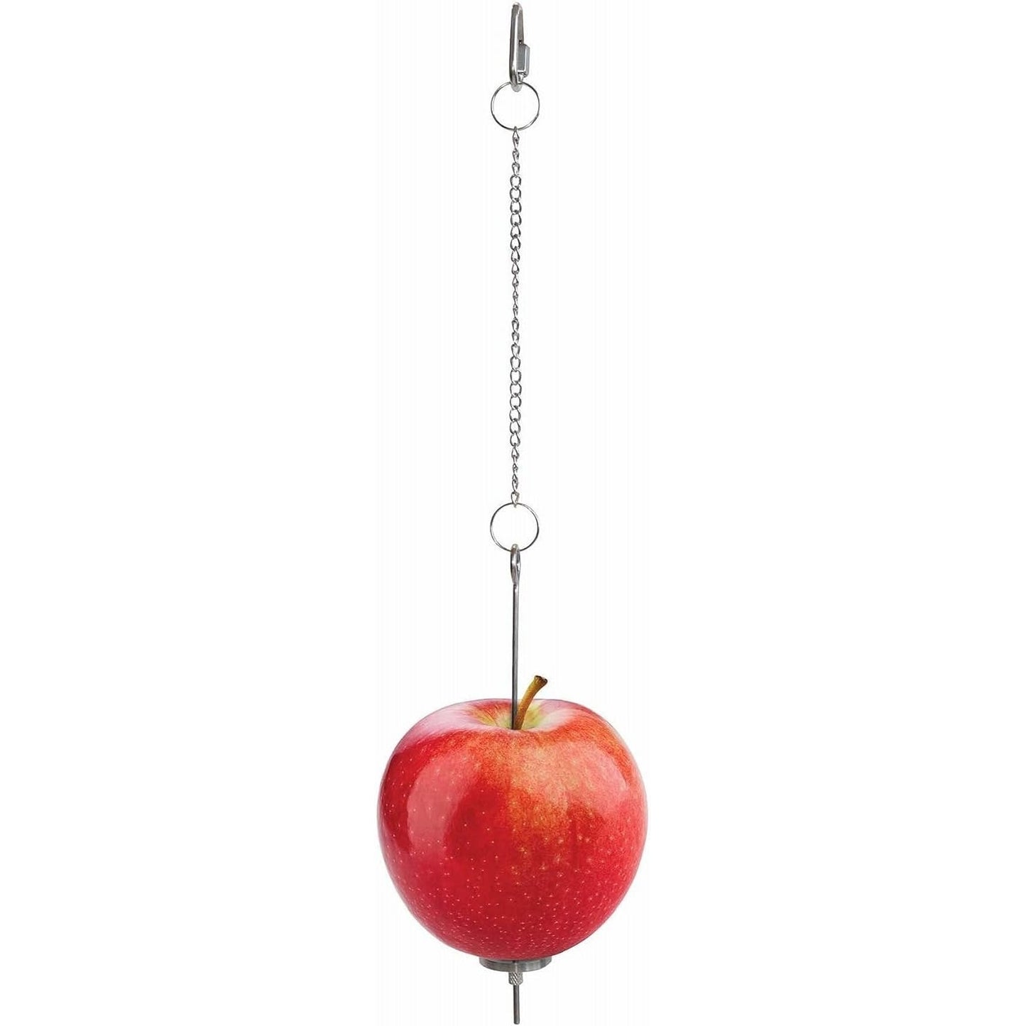 4-499785-01.jpg