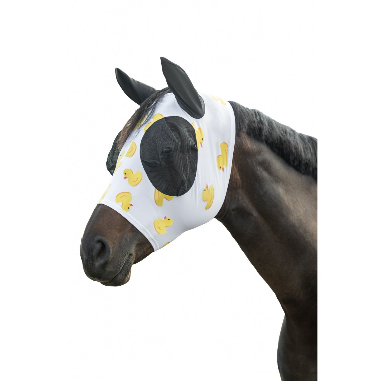 4-501840.jpg