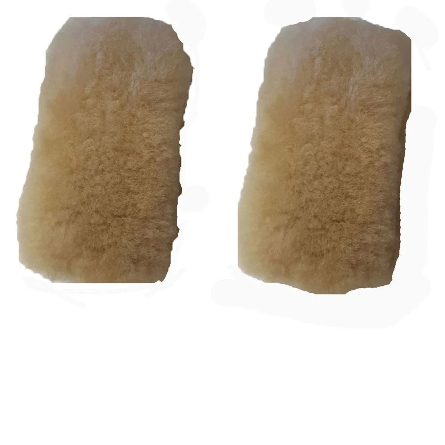 4-521652.jpg