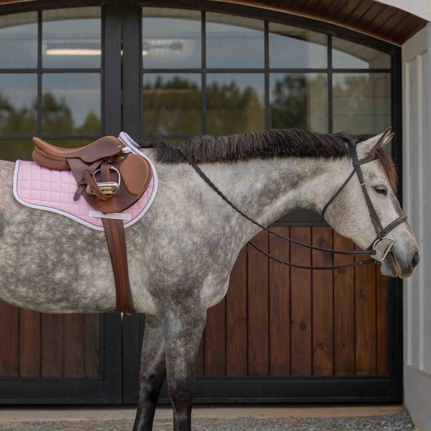 4-529915-03.jpg