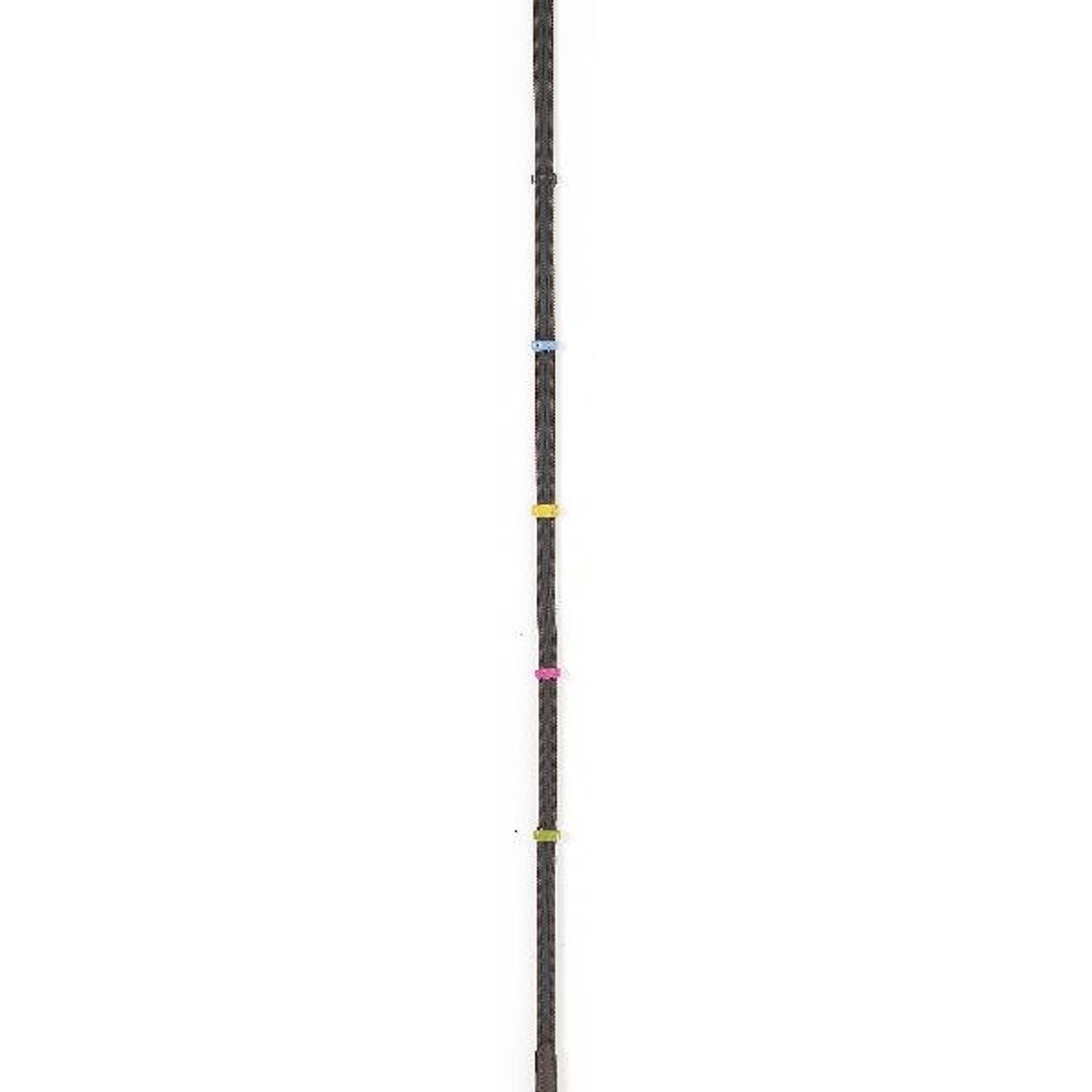 467613.jpg