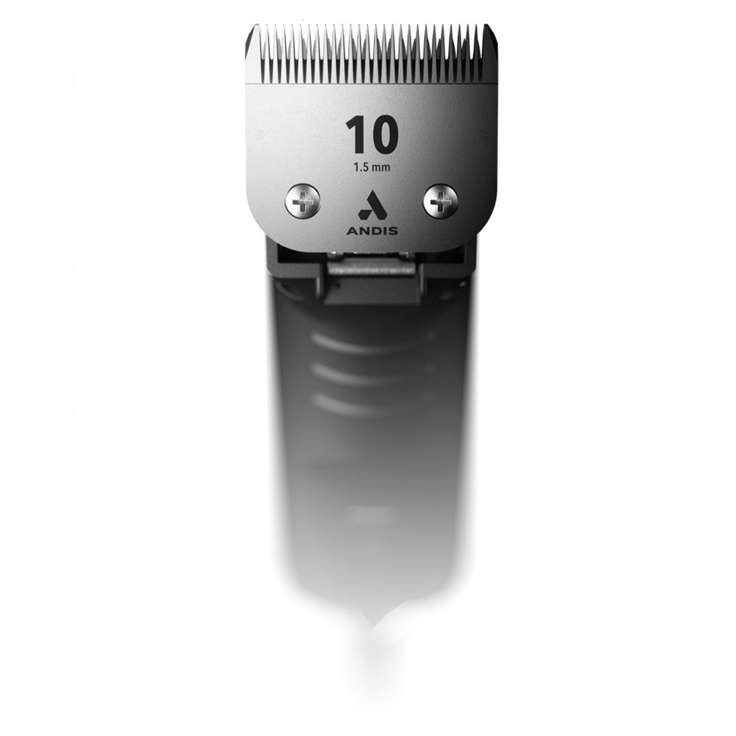 5-109036-d.jpg
