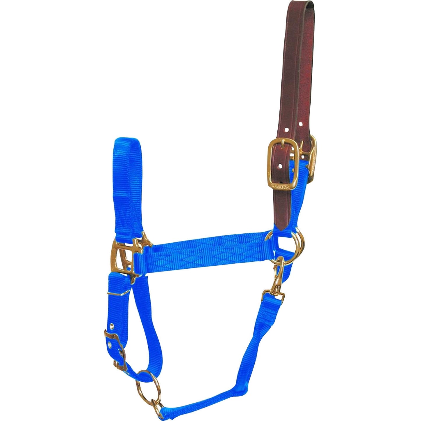 5-145275-blue.jpg