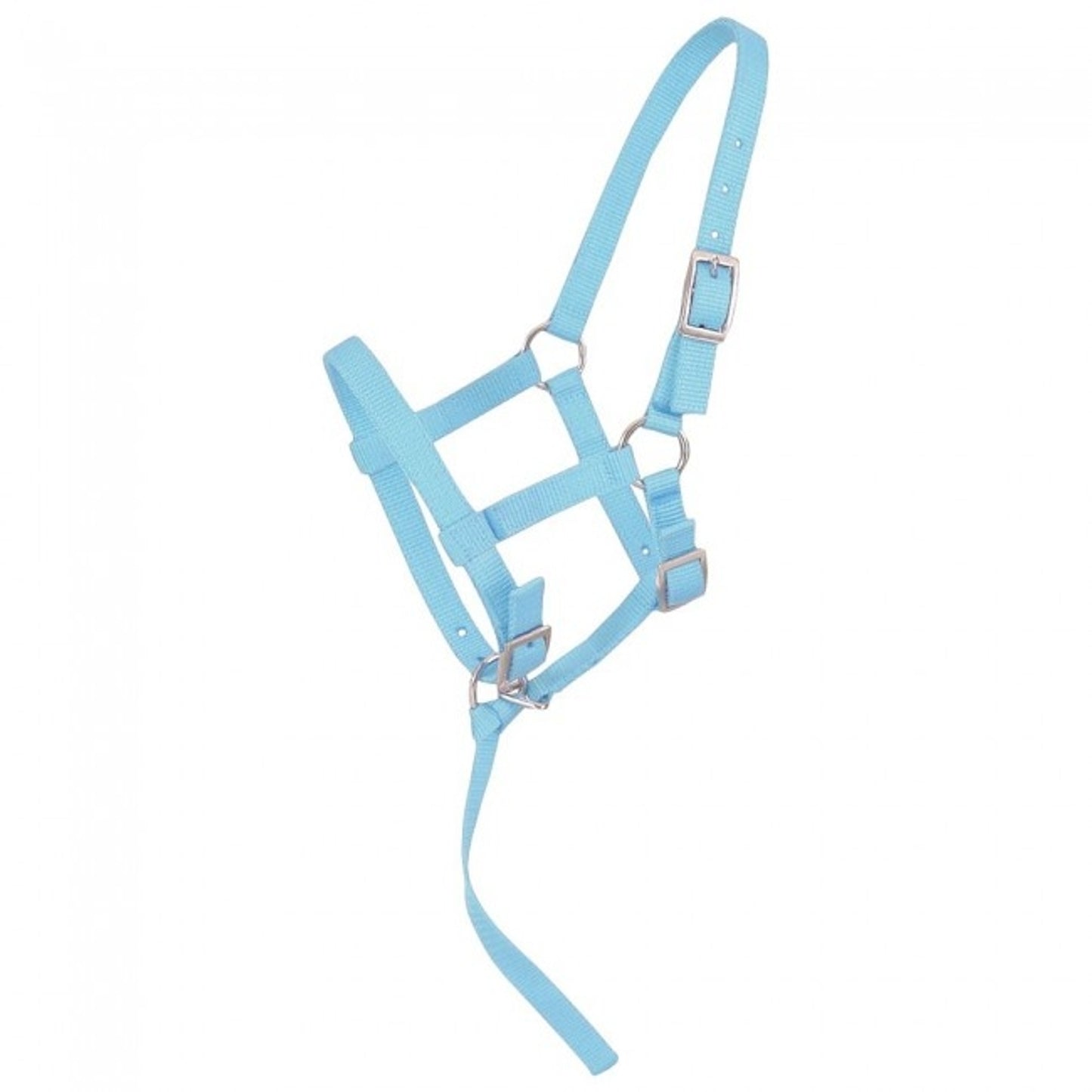 5-245850-lightblue.jpg