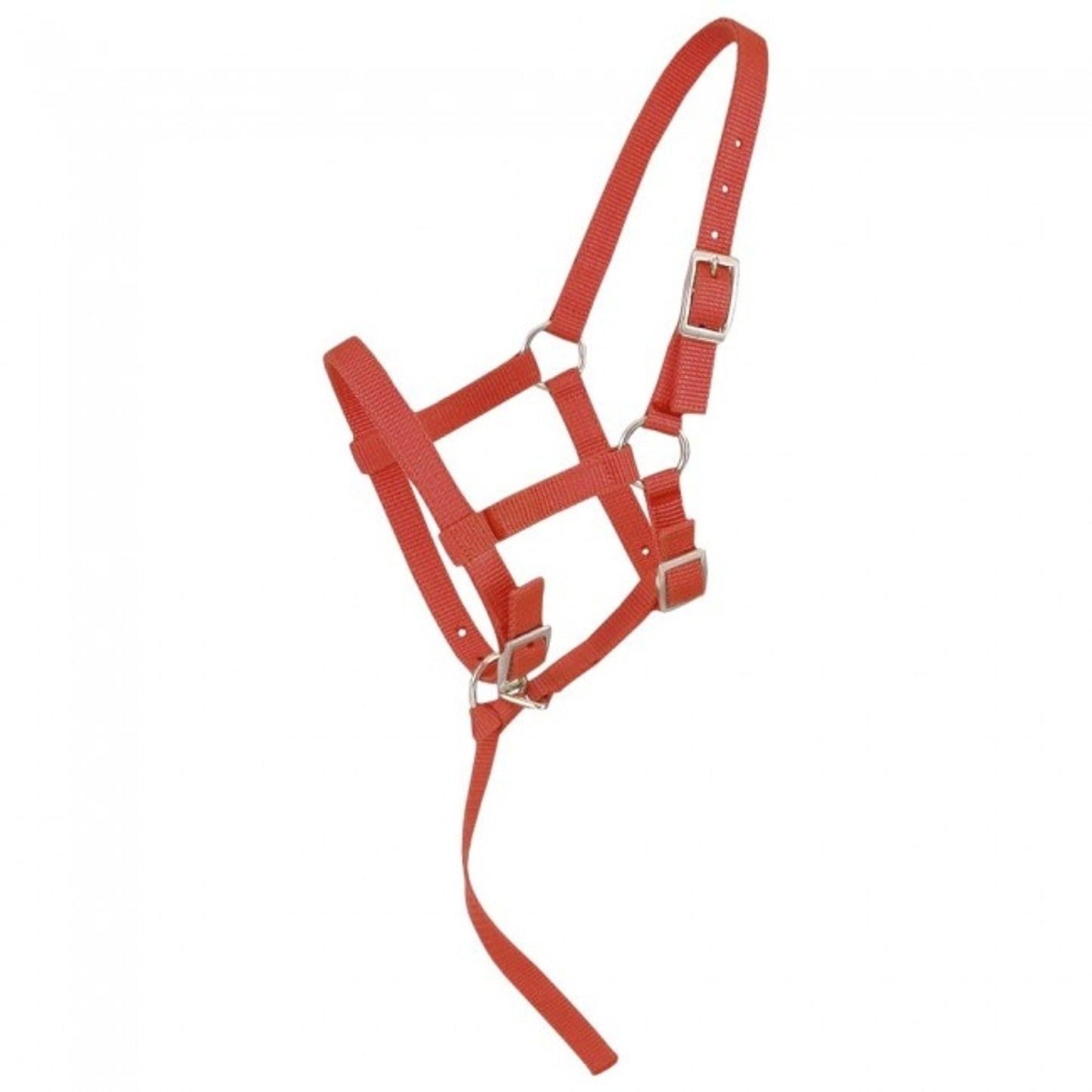5-245850-red.jpg