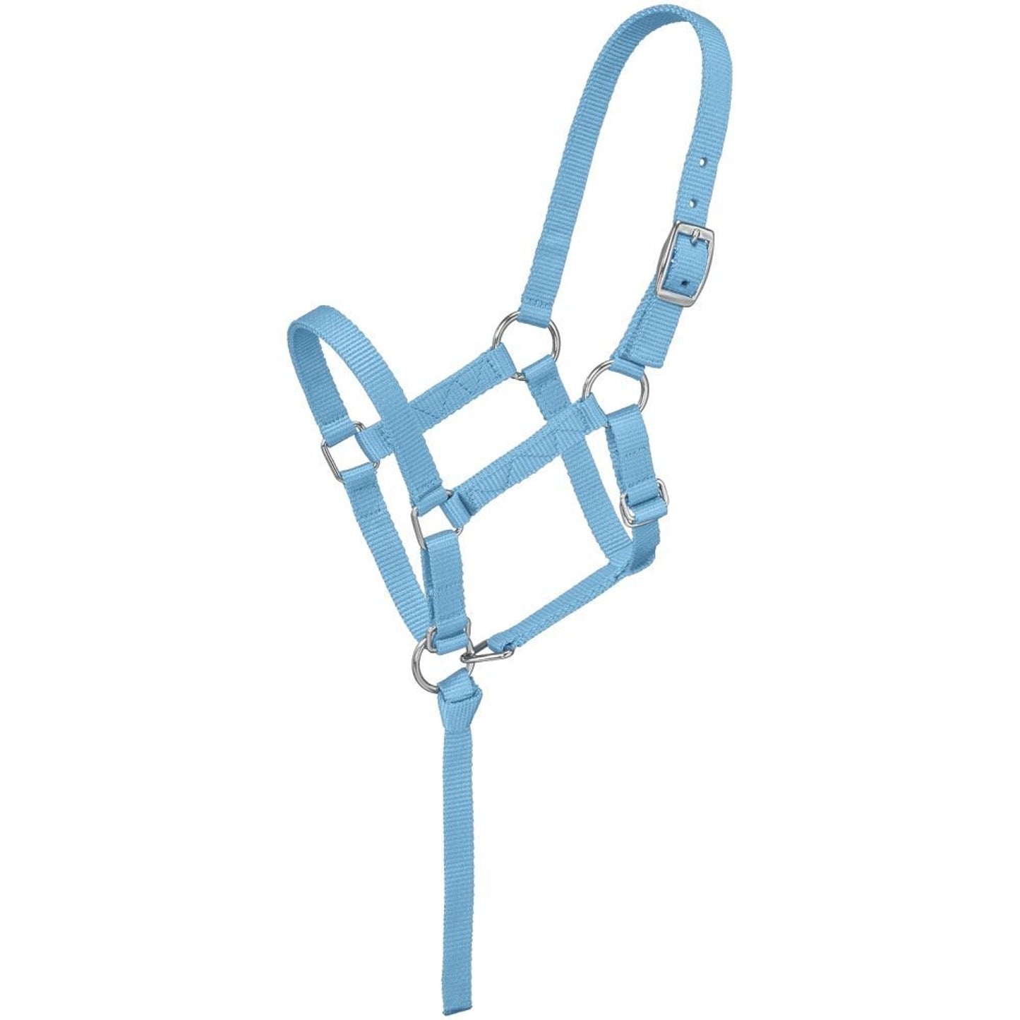 5-251481-blue.jpg