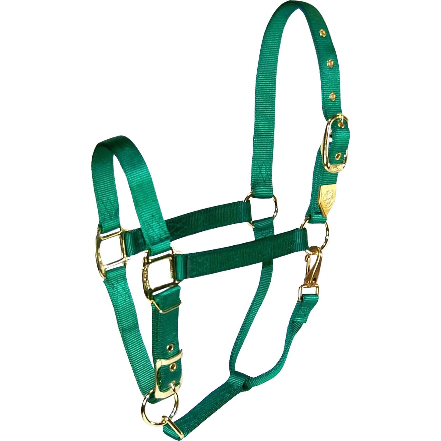 5-259642-green.jpg