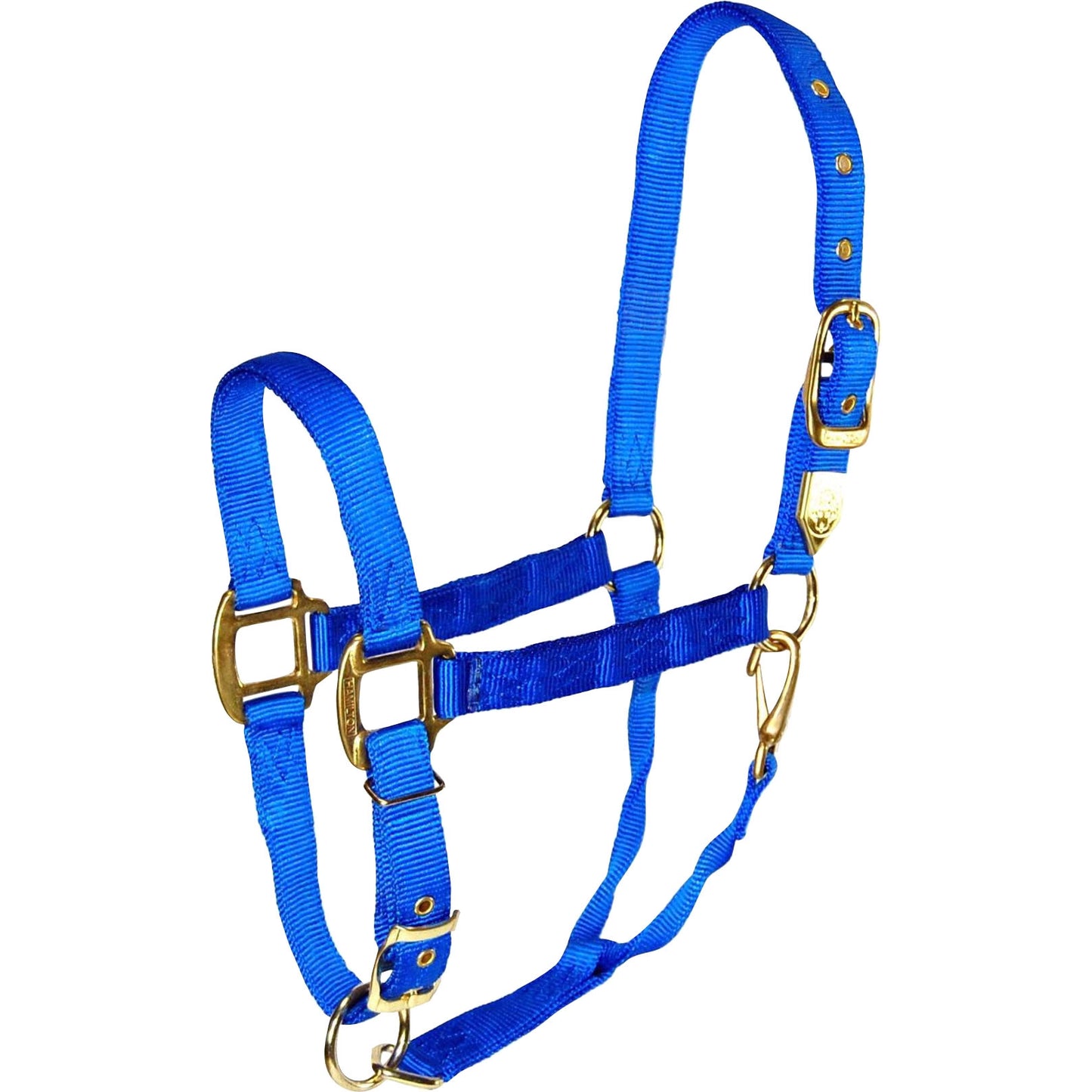 5-259649-blue.jpg