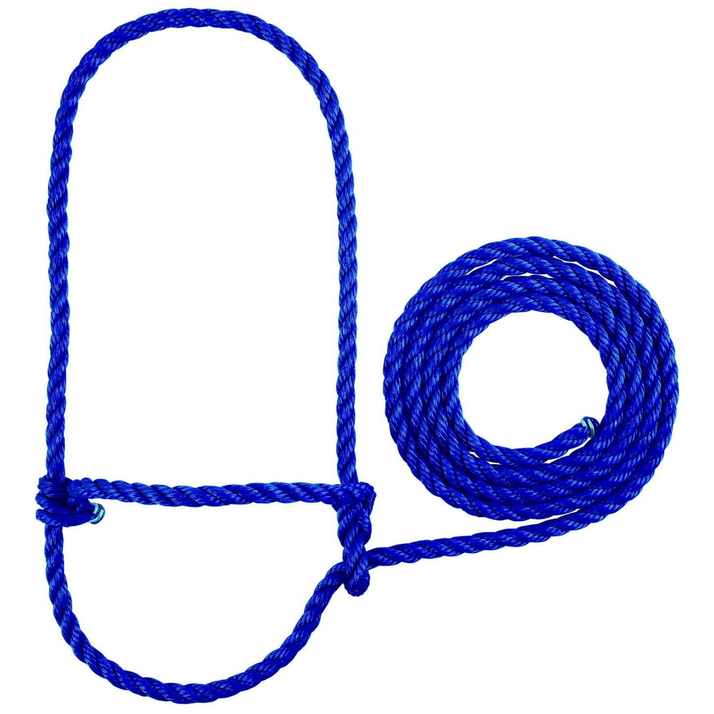 5-562477.jpg