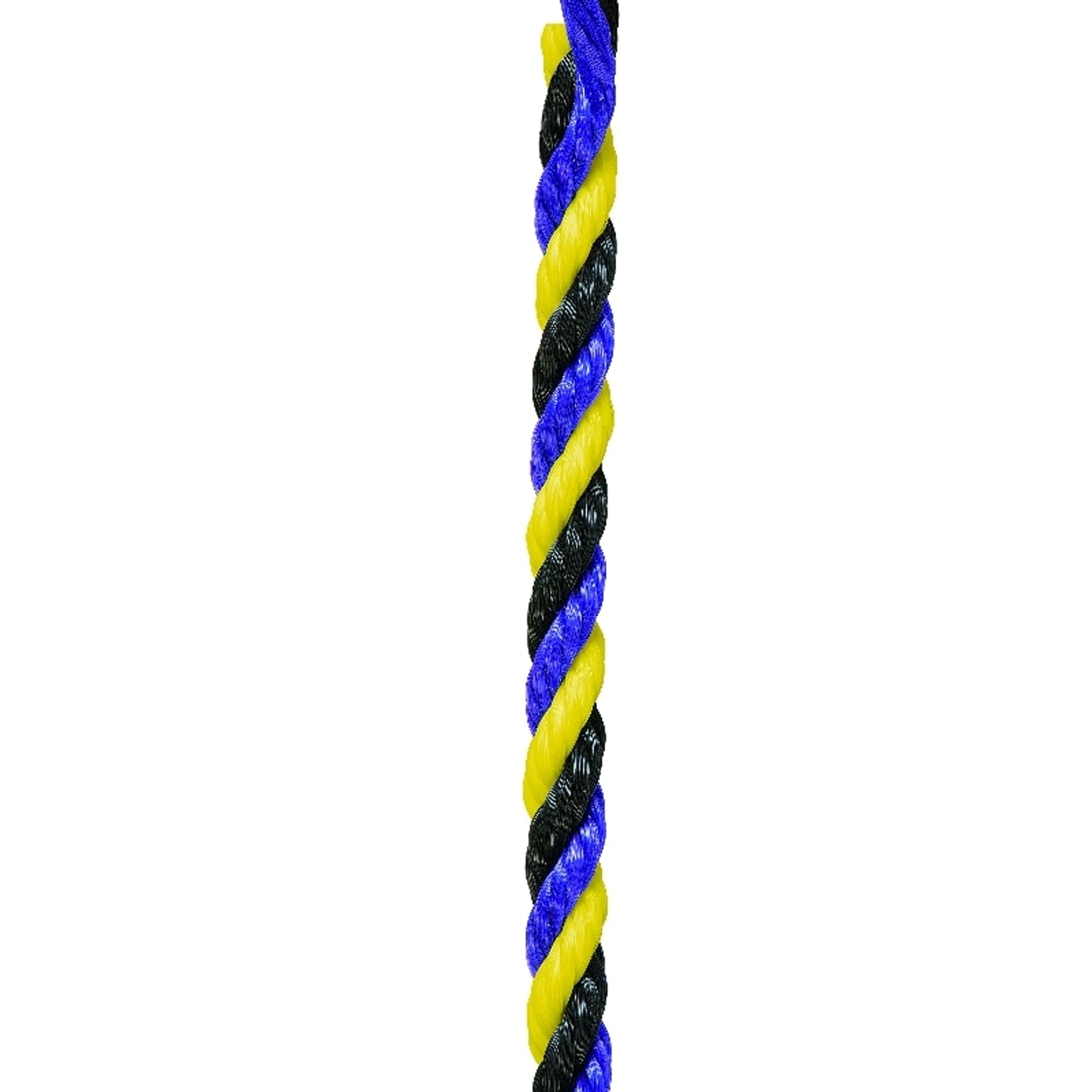 5-563419.jpg