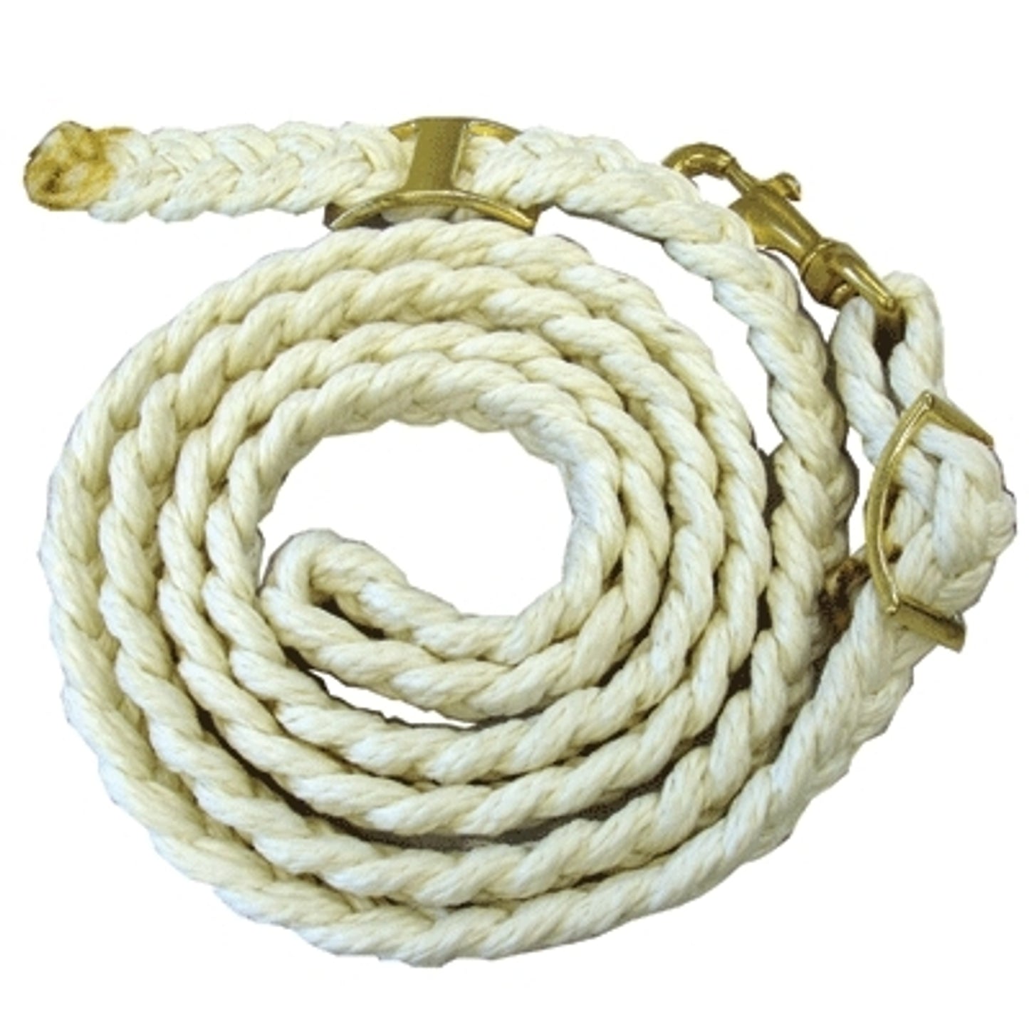 5-585774.jpg