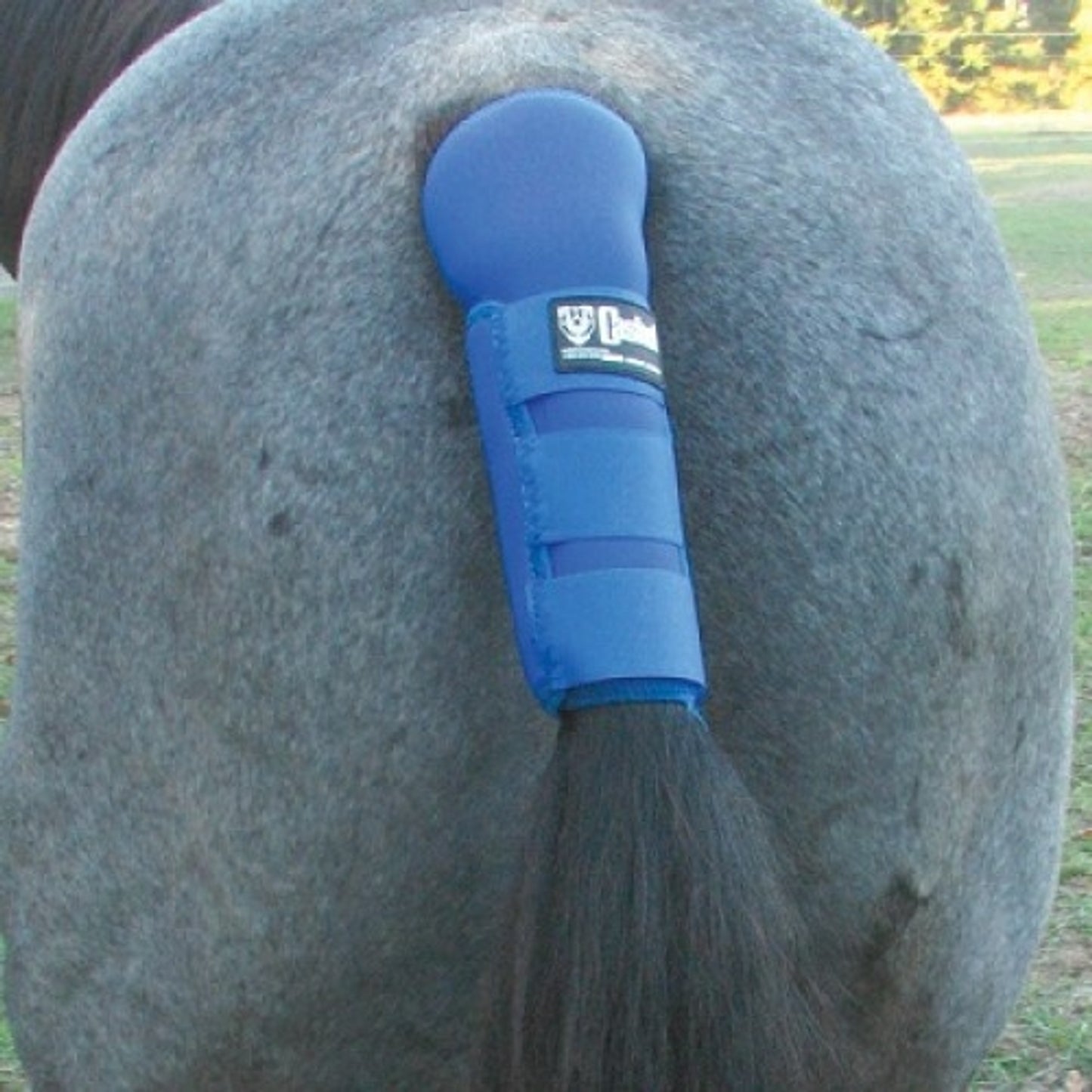 5-645029.jpg