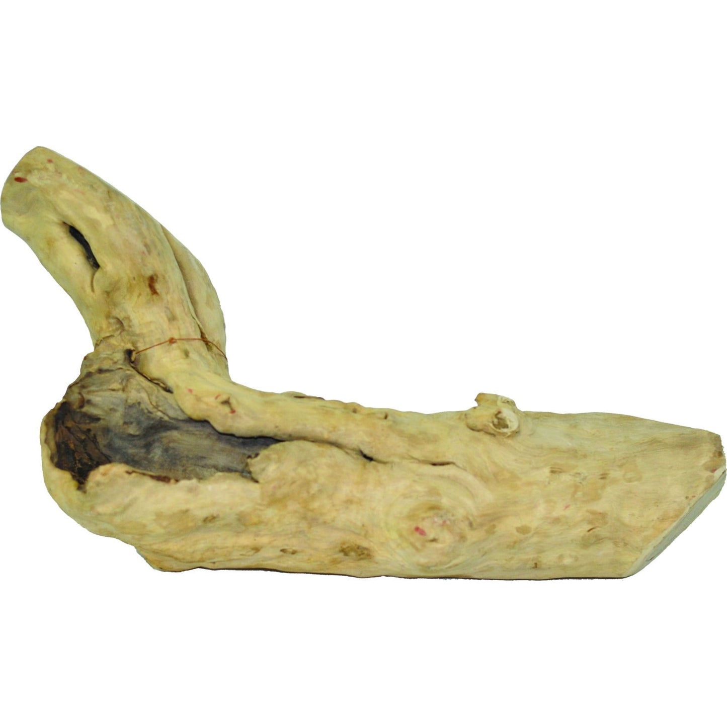 5-705968.jpg