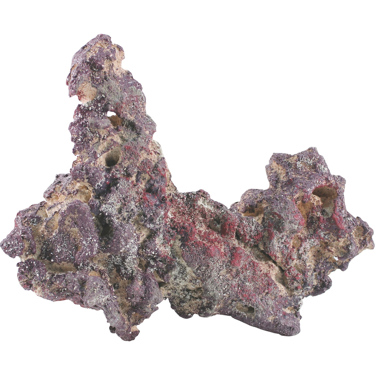 5-797595.jpg