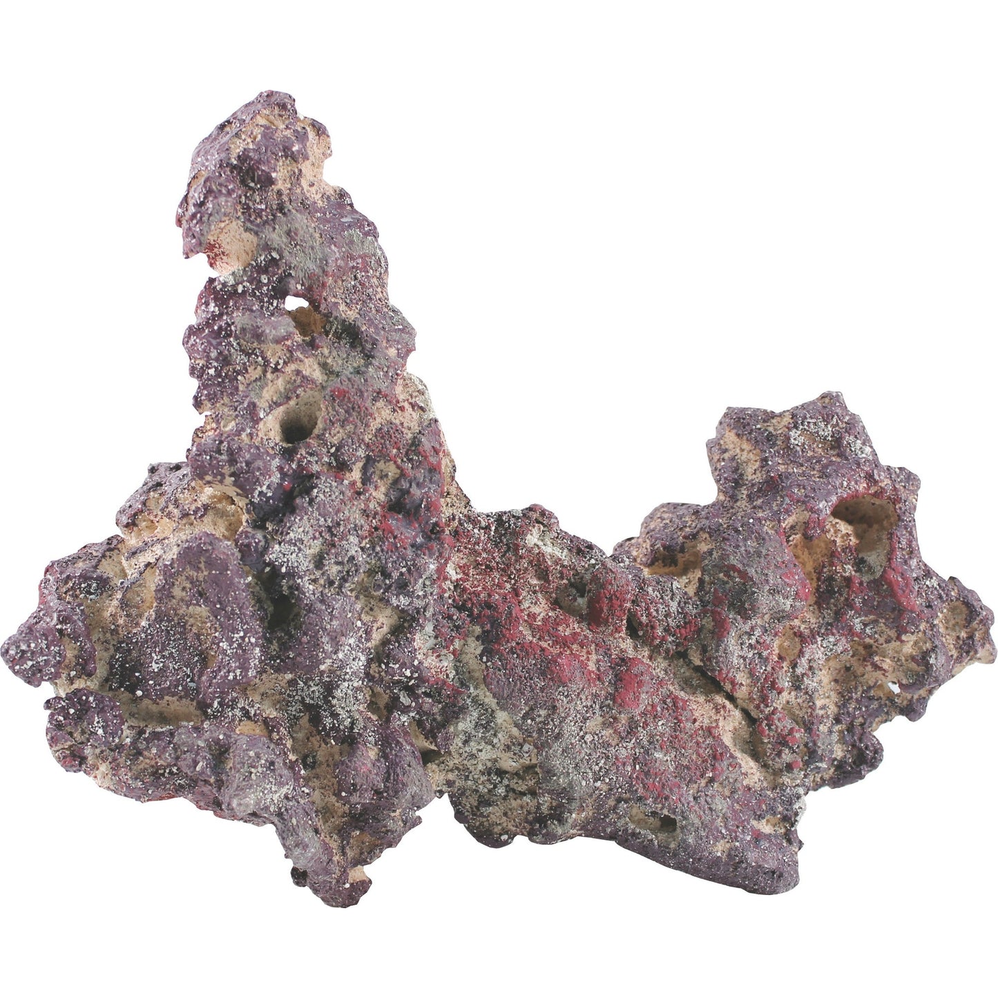 5-797595.jpg