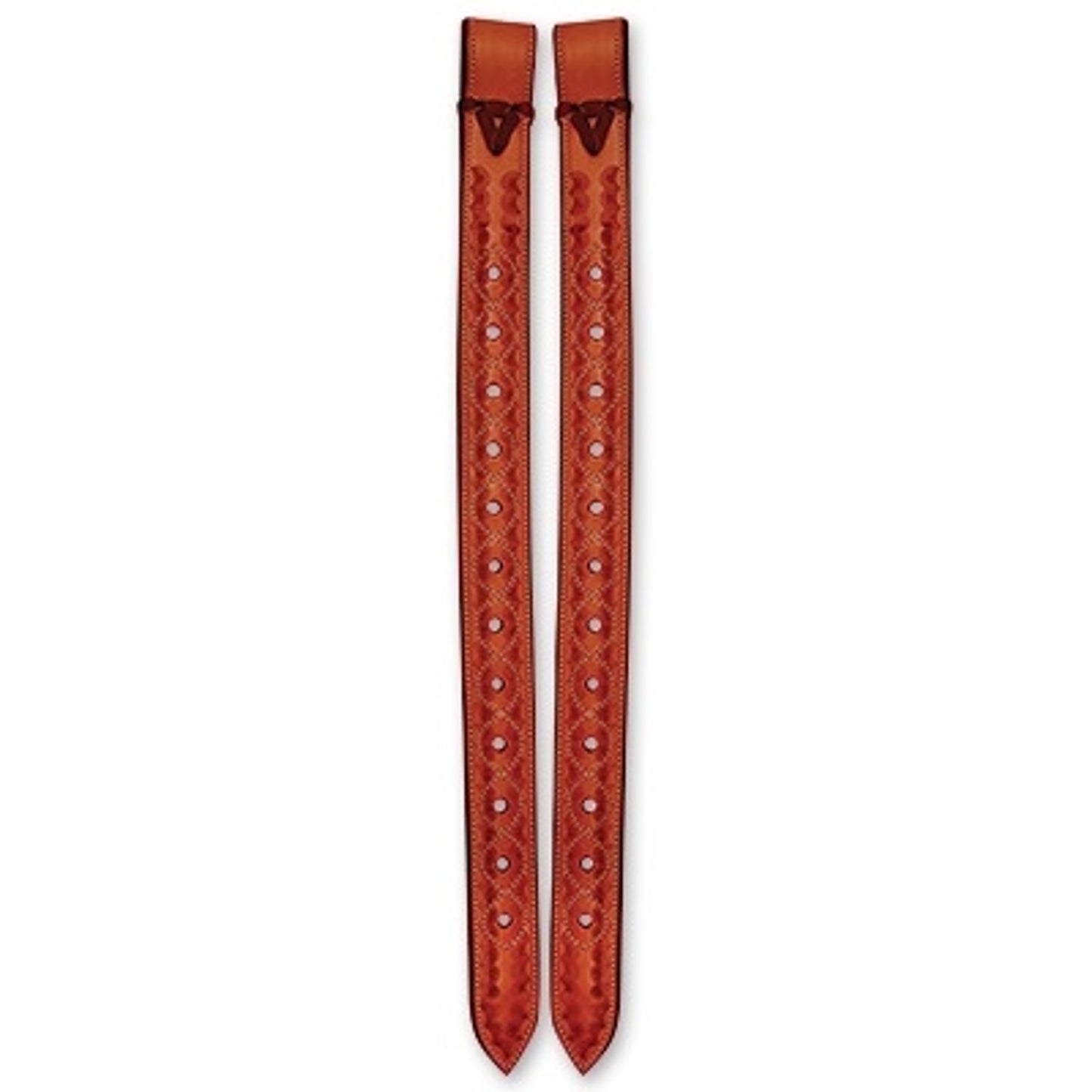 5-828334-chestnut.jpg
