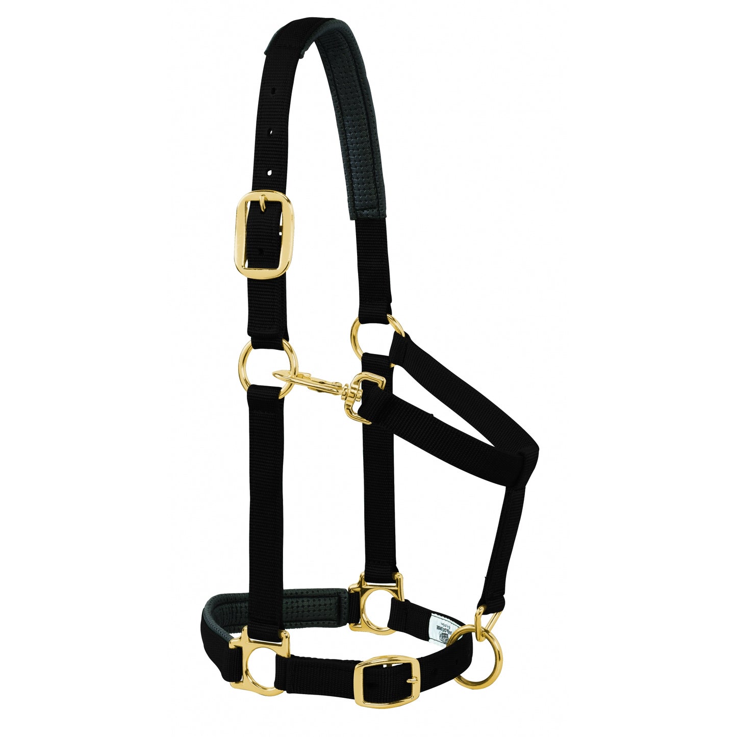 5-841183-black.jpg